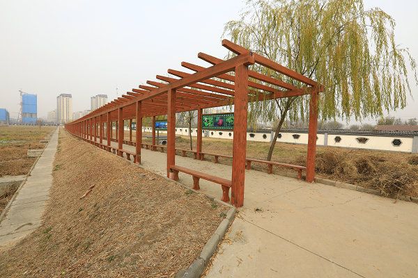 夏津九龙口国家湿地公园旅行图片 2