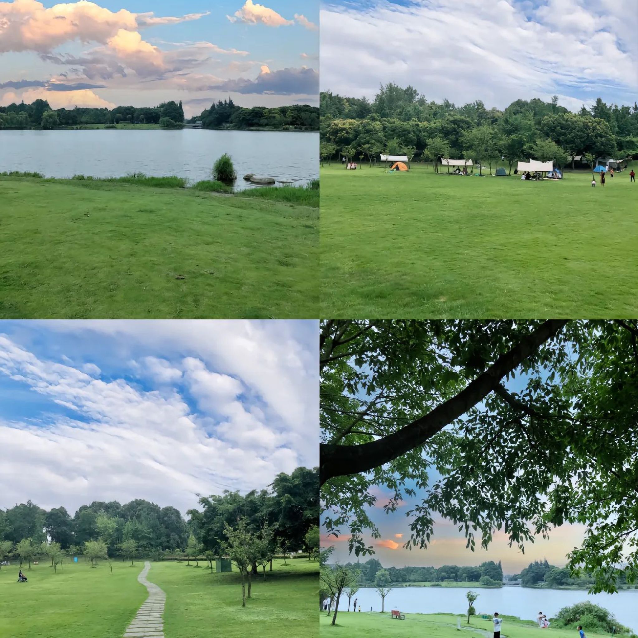 夏津九龙口国家湿地公园旅行图片 1