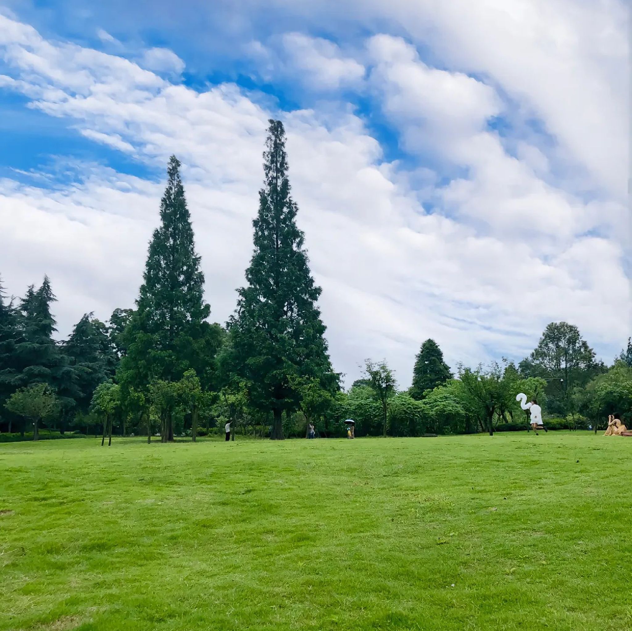 夏津九龙口国家湿地公园旅行图片 3