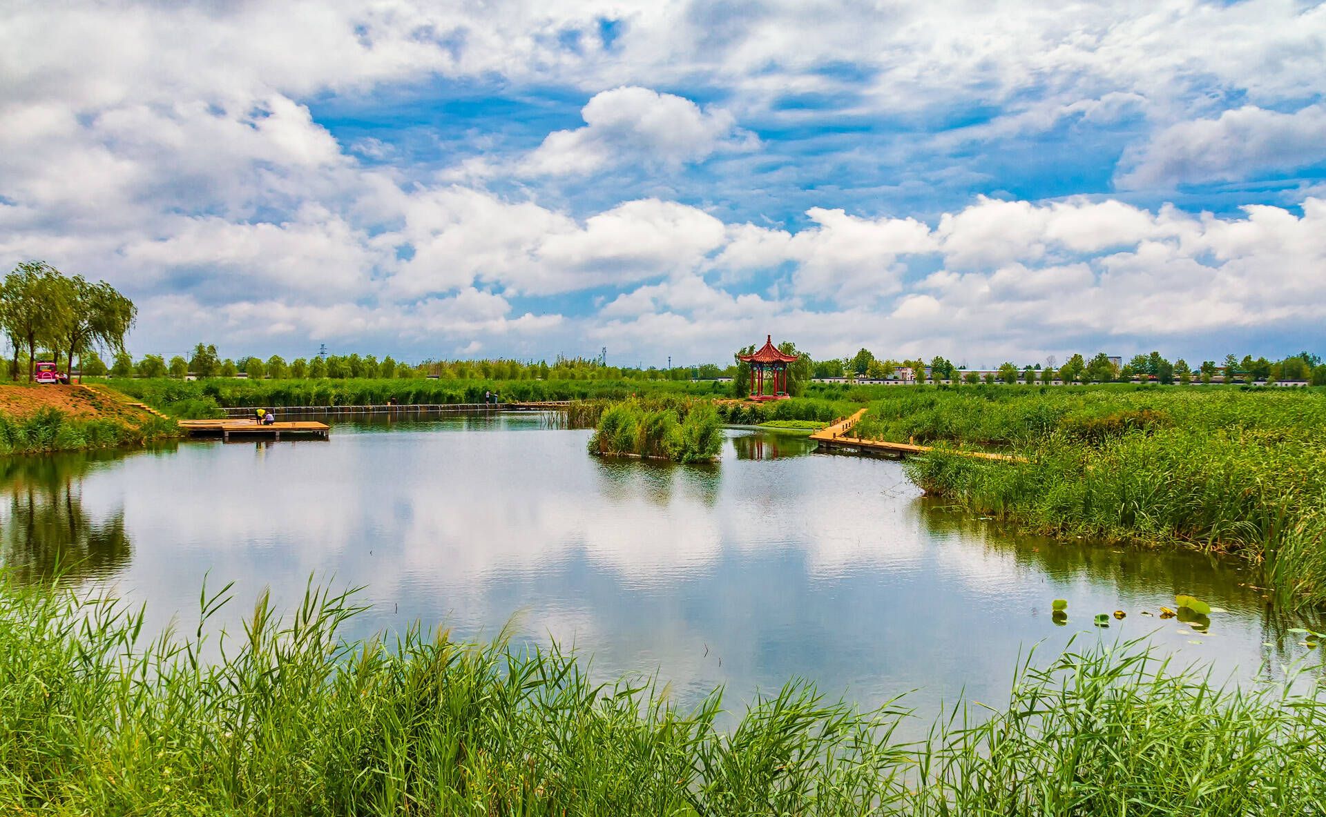 夏津九龙口国家湿地公园旅行图片 1