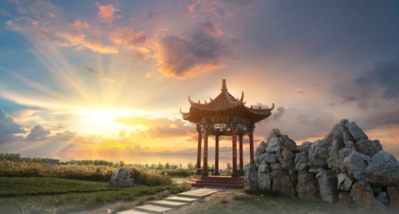 夏津九龙口国家湿地公园旅行图片 2