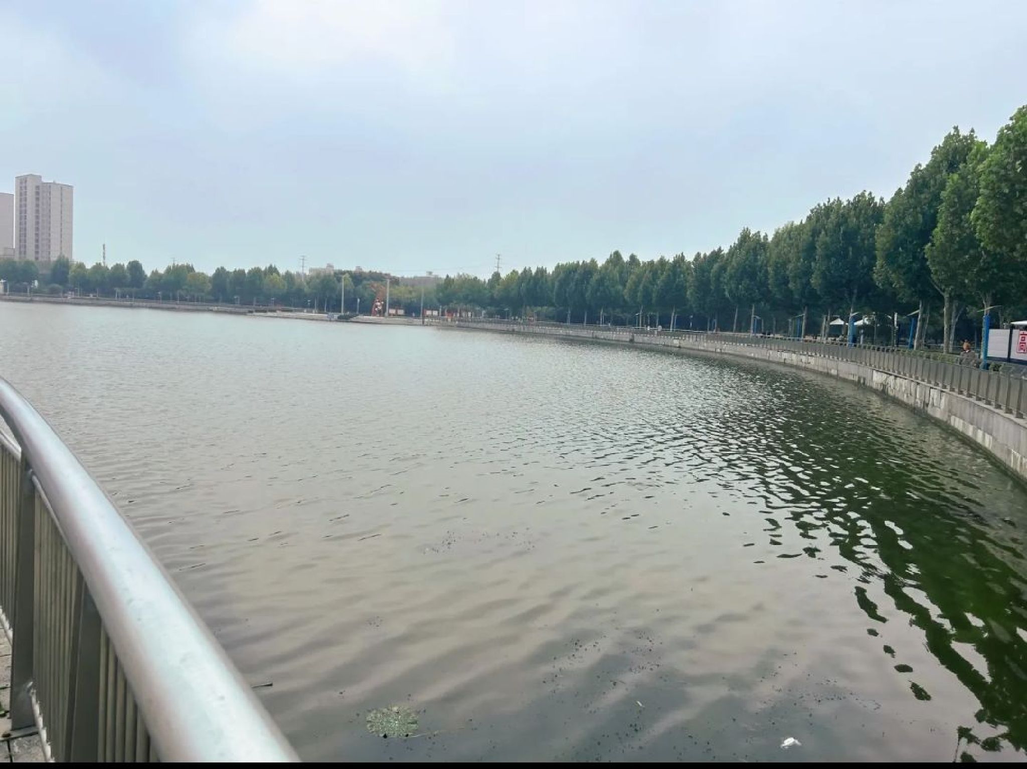明珠湖公园旅行图片 2