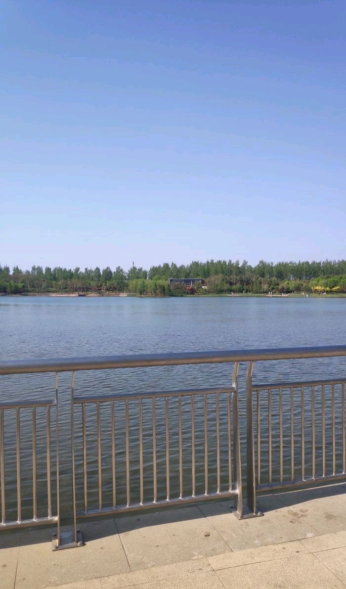 明珠湖公园旅行图片 3