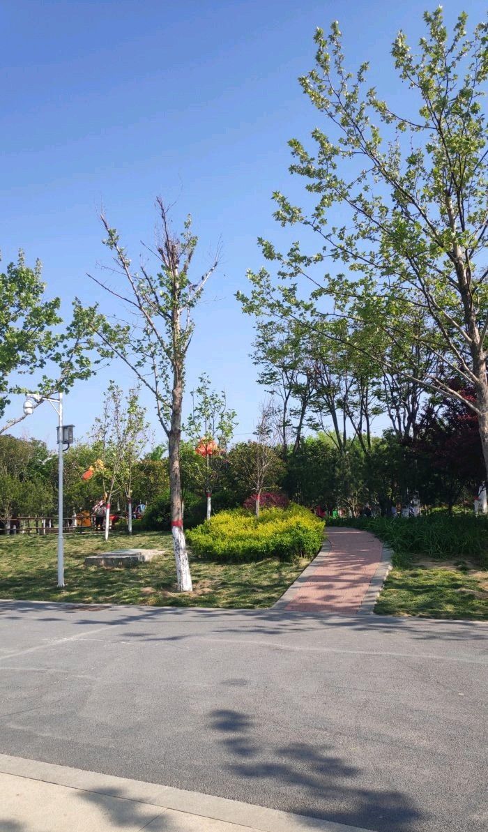 明珠湖公园旅行图片 1
