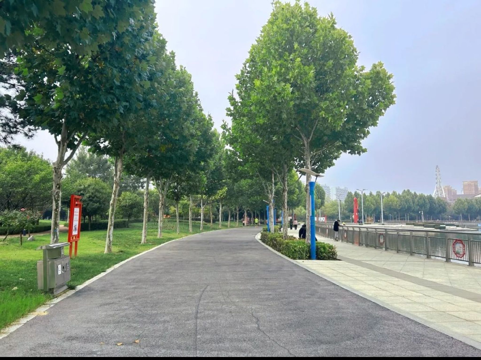明珠湖公园旅行图片 3