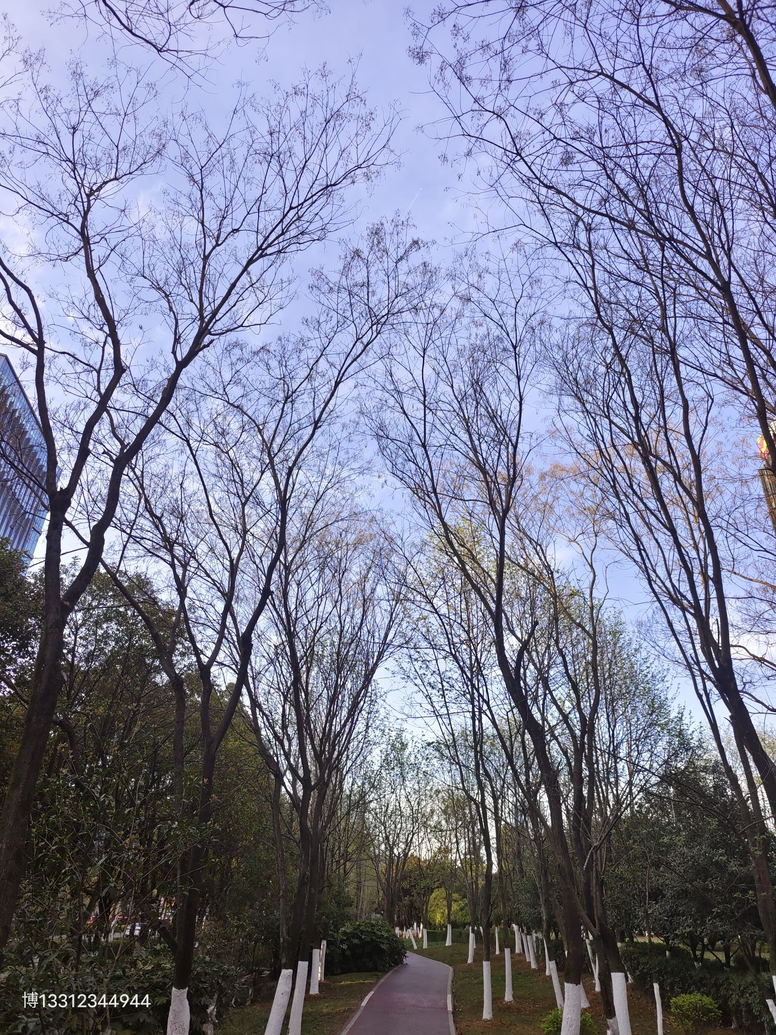 明珠湖公园旅行图片 1