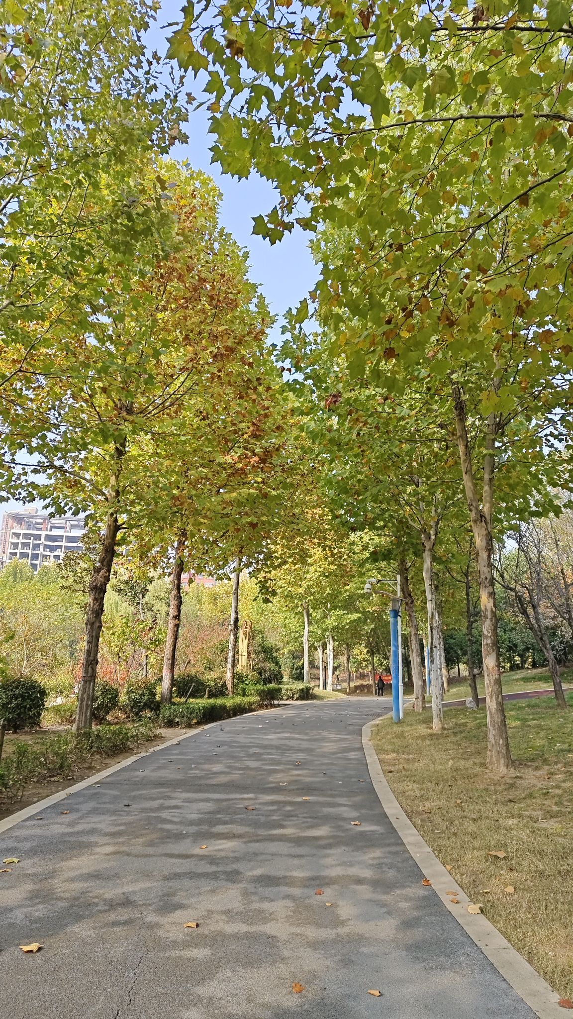 明珠湖公园旅行图片 3
