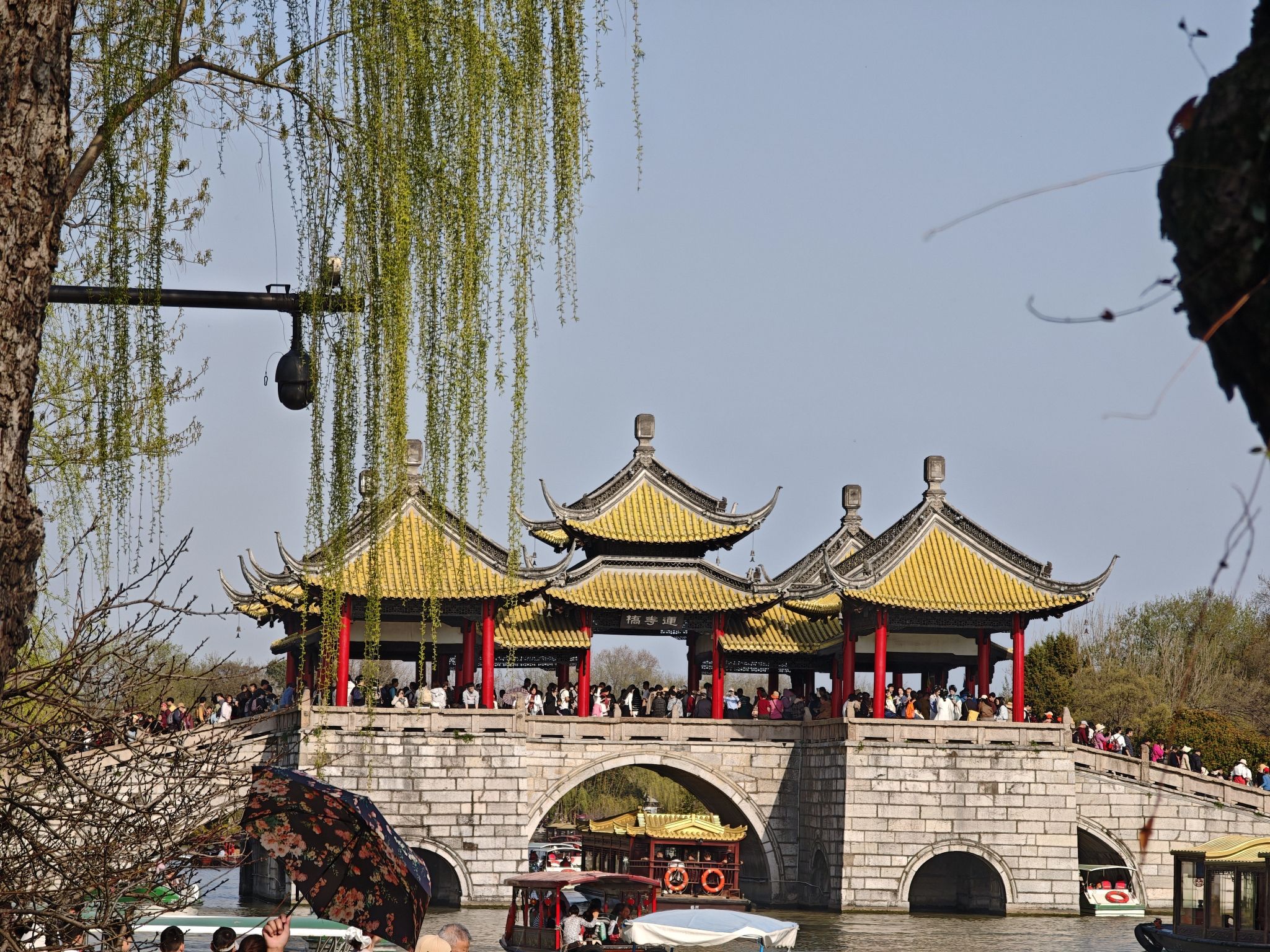 瘦西湖 景点照片