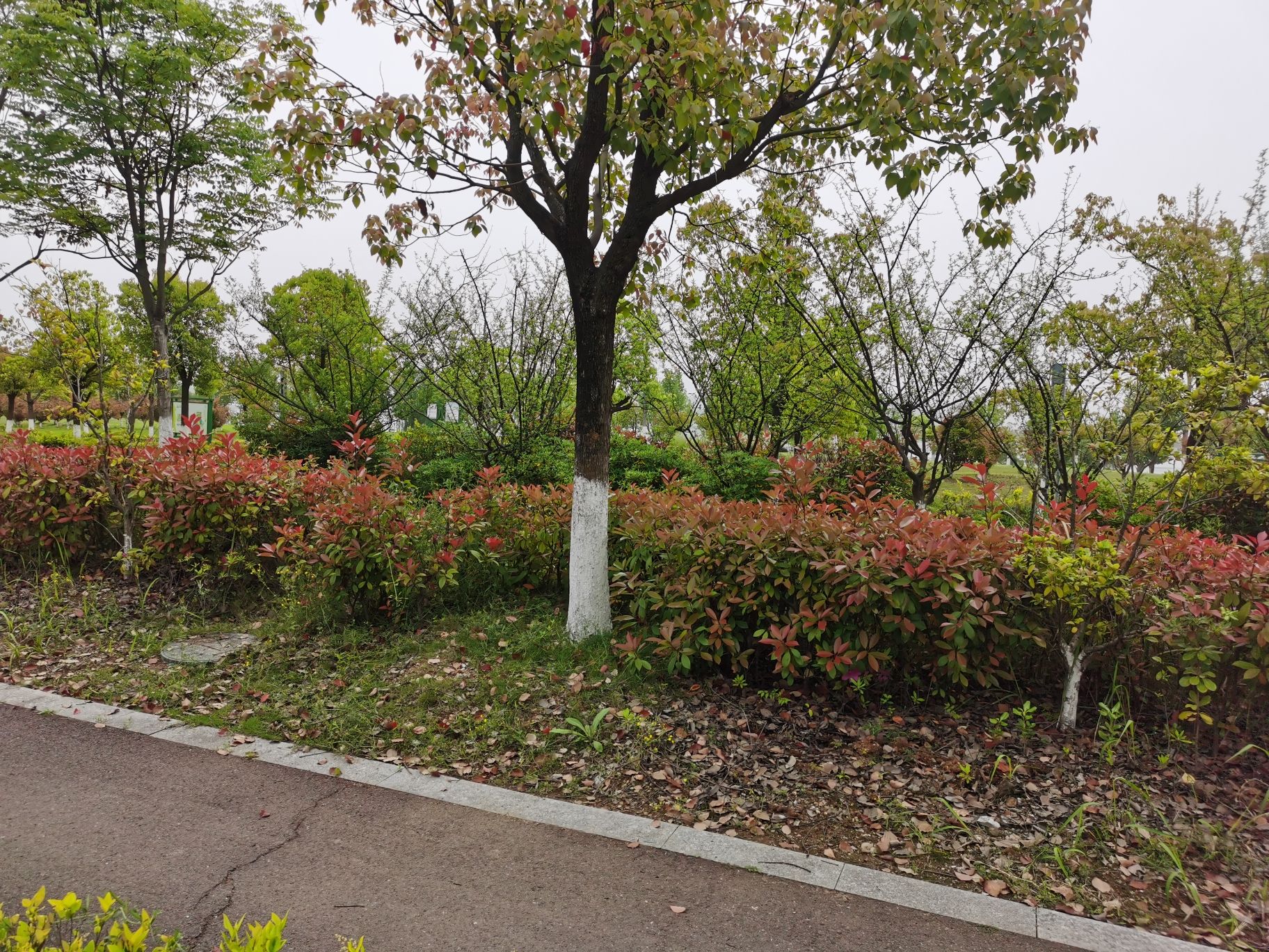郧阳区滨江公园旅行图片 3