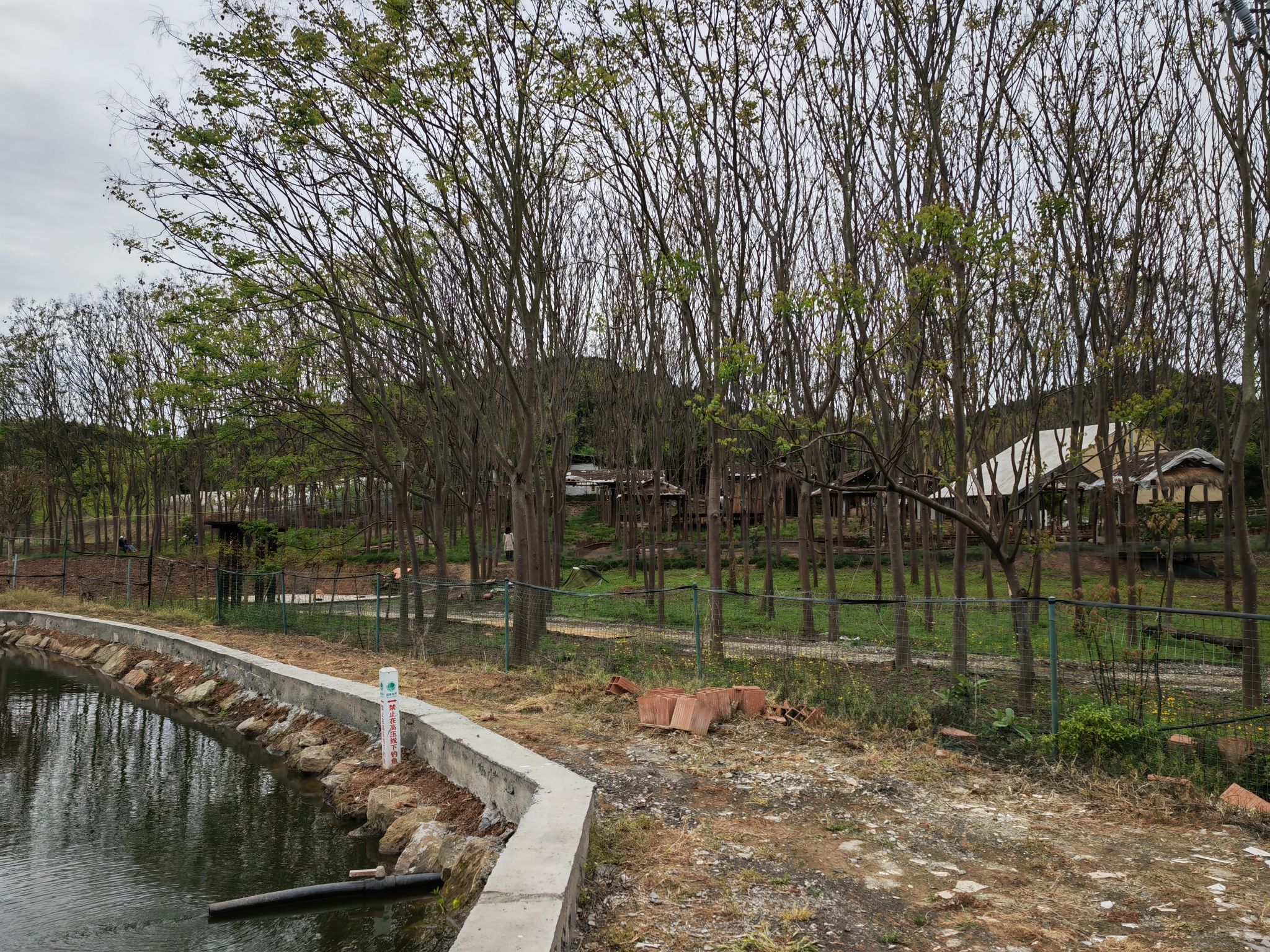 明镜堂湿地公园旅行图片 2