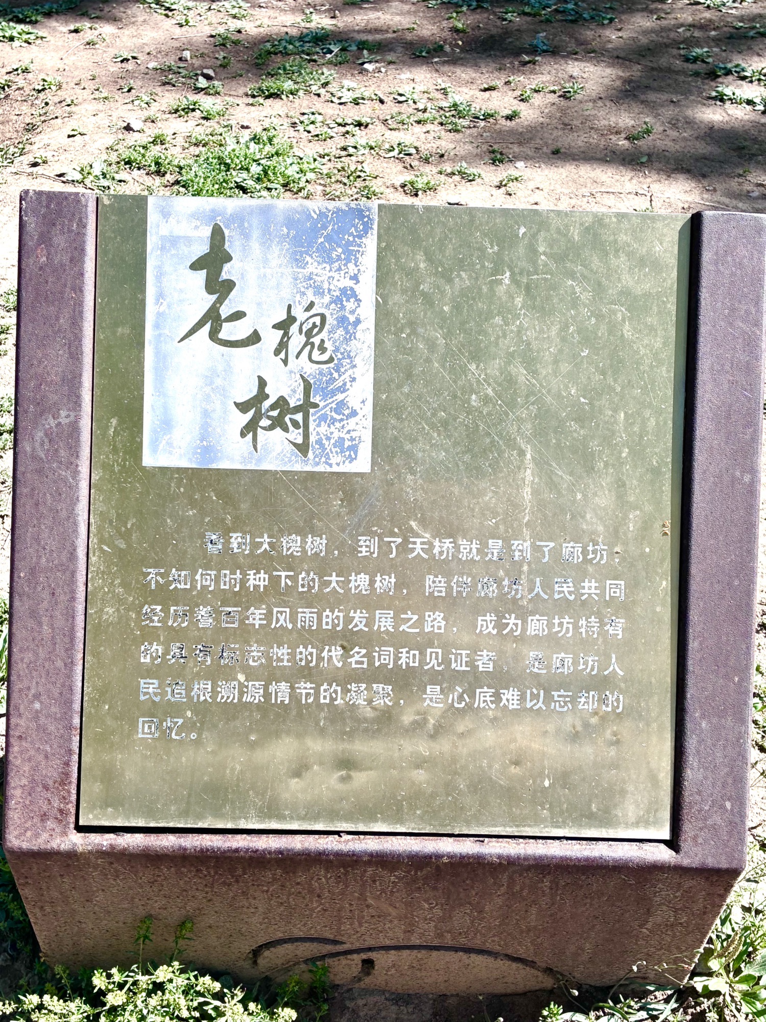 老天桥公园