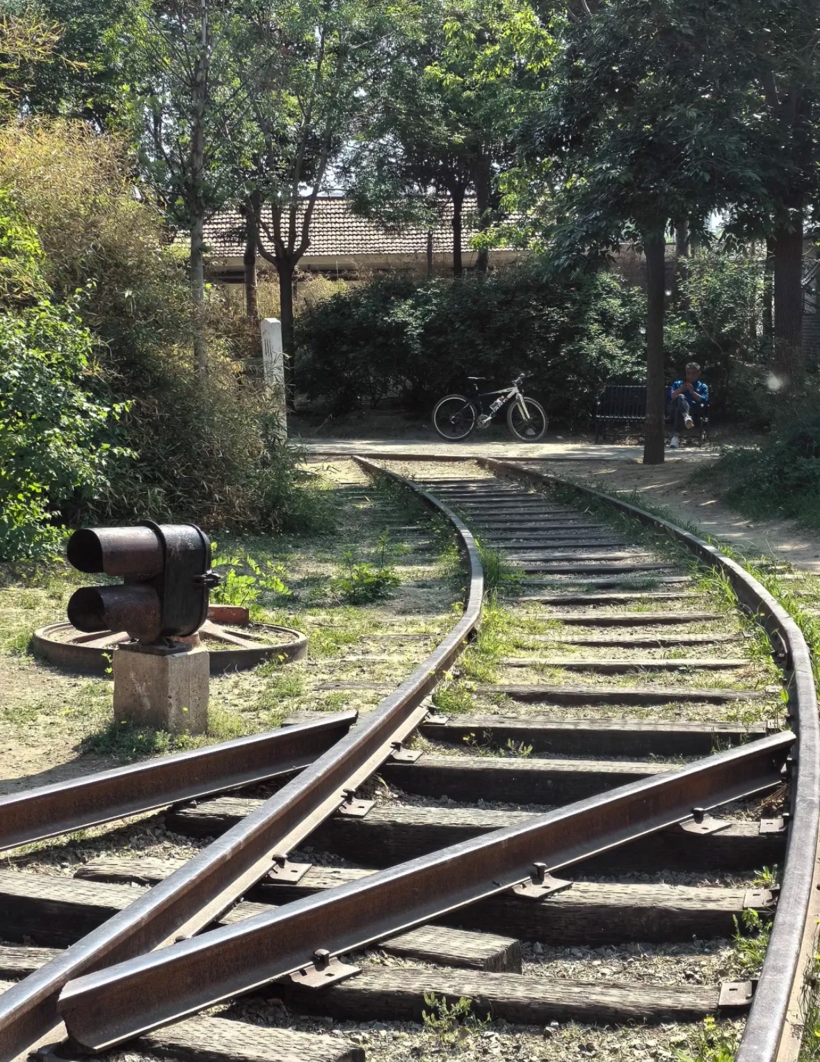 老天桥公园旅行图片 2