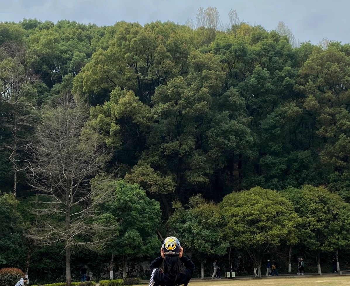 上河洲公园旅行图片 1