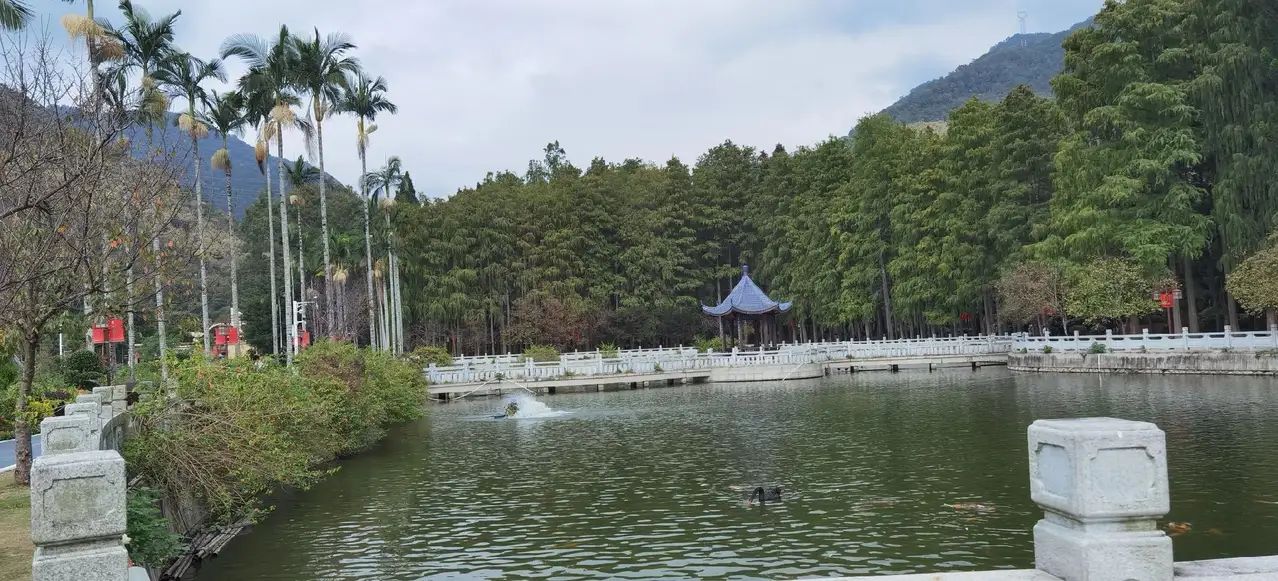 洮南市森林公园