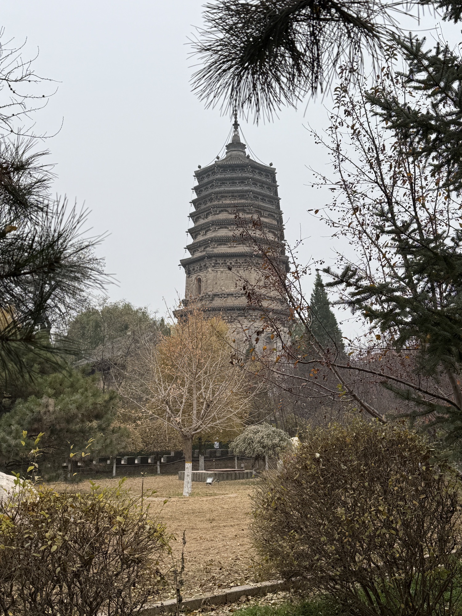 大城子塔旅行图片 1