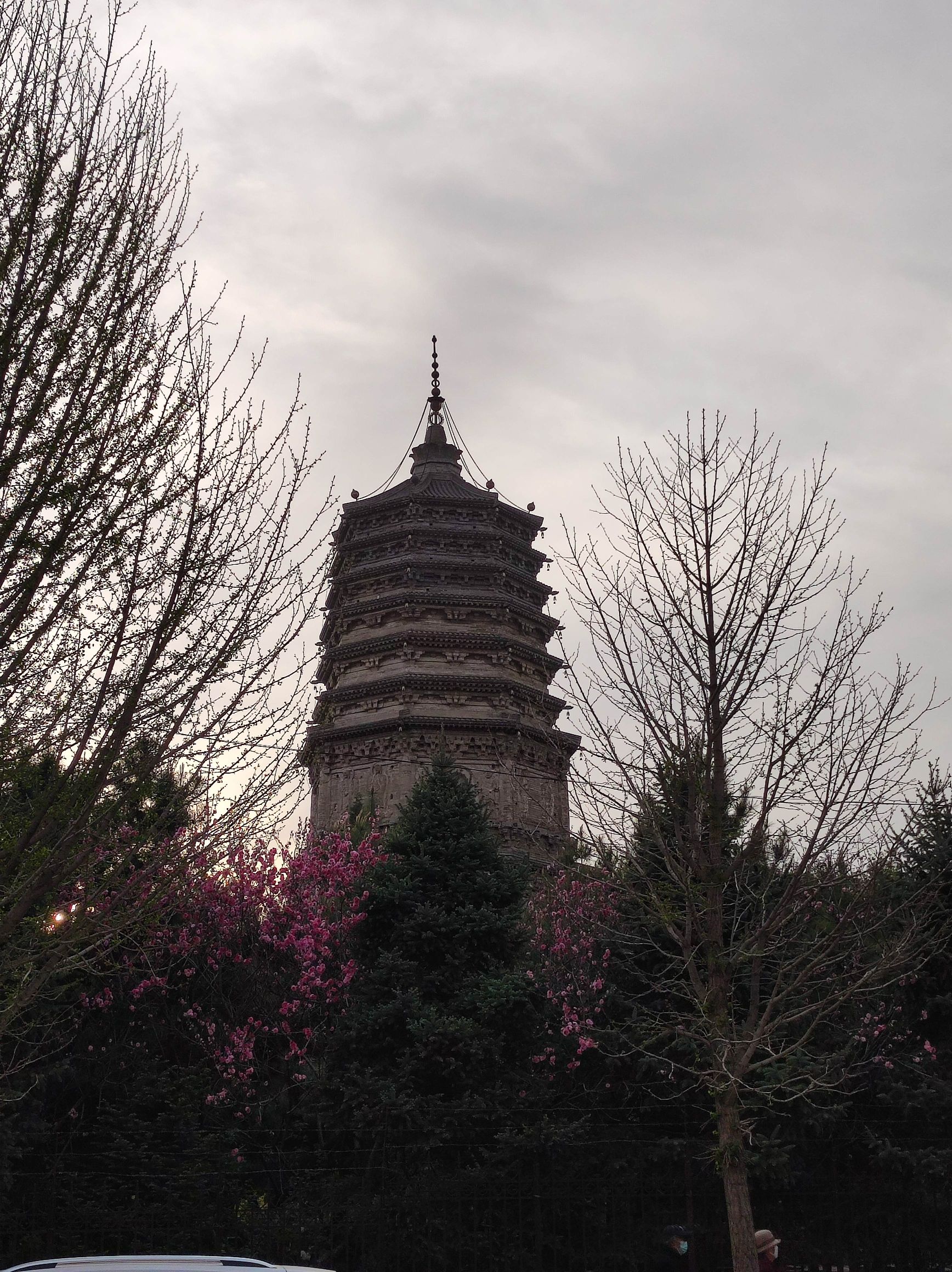 大城子塔旅行图片 1