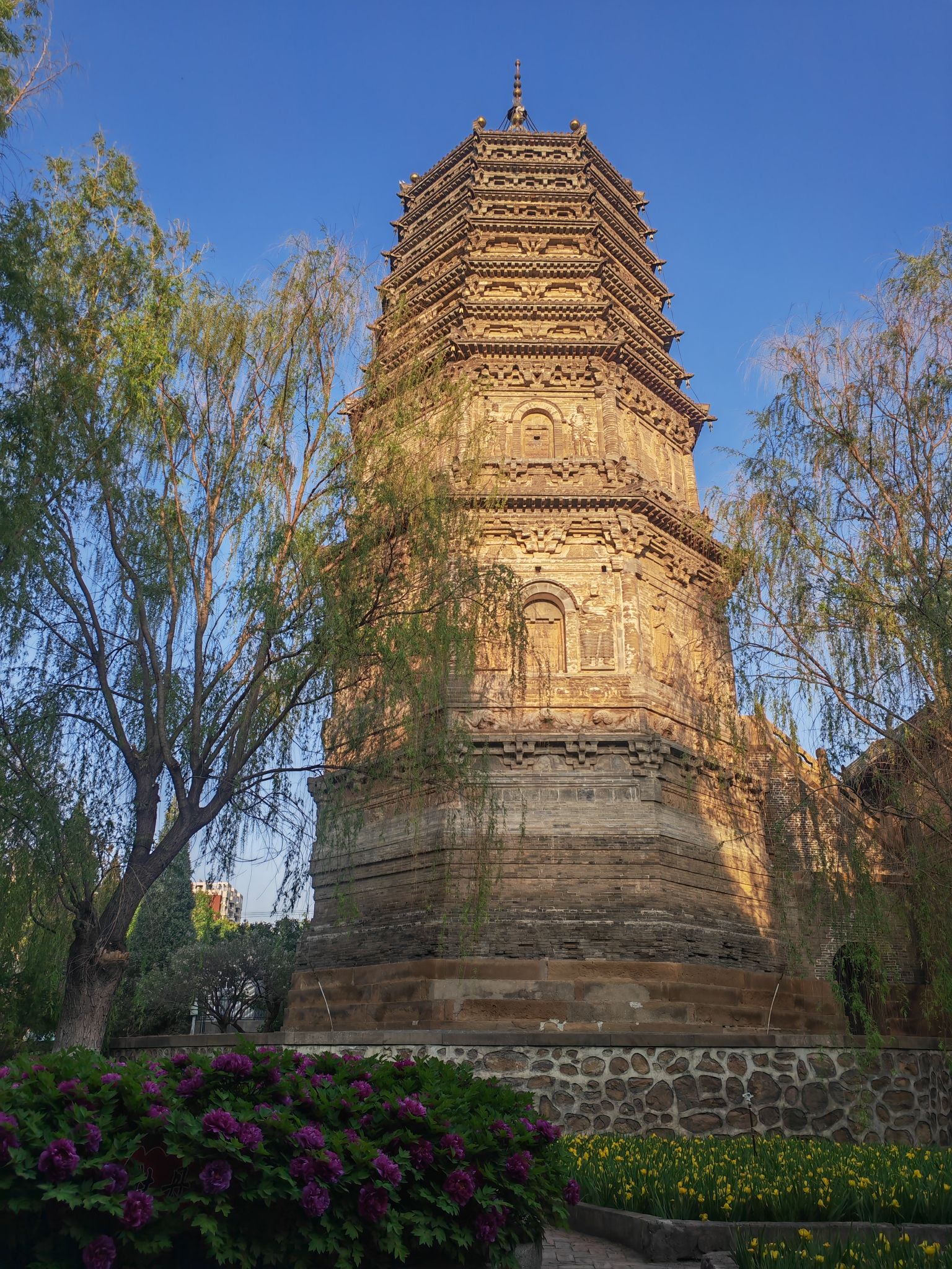 大城子塔旅行图片 3