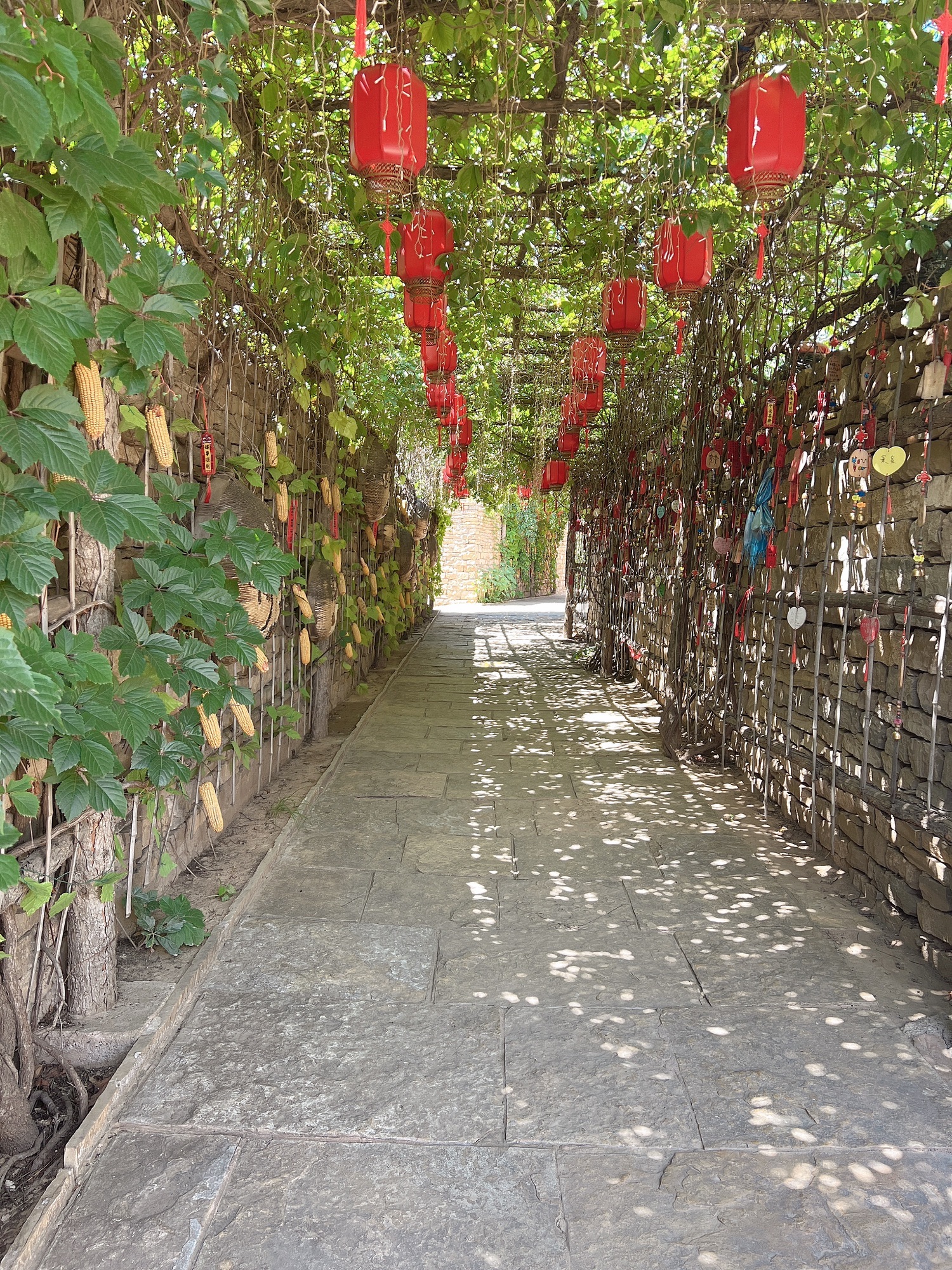准格尔黄河大峡谷旅行图片 3