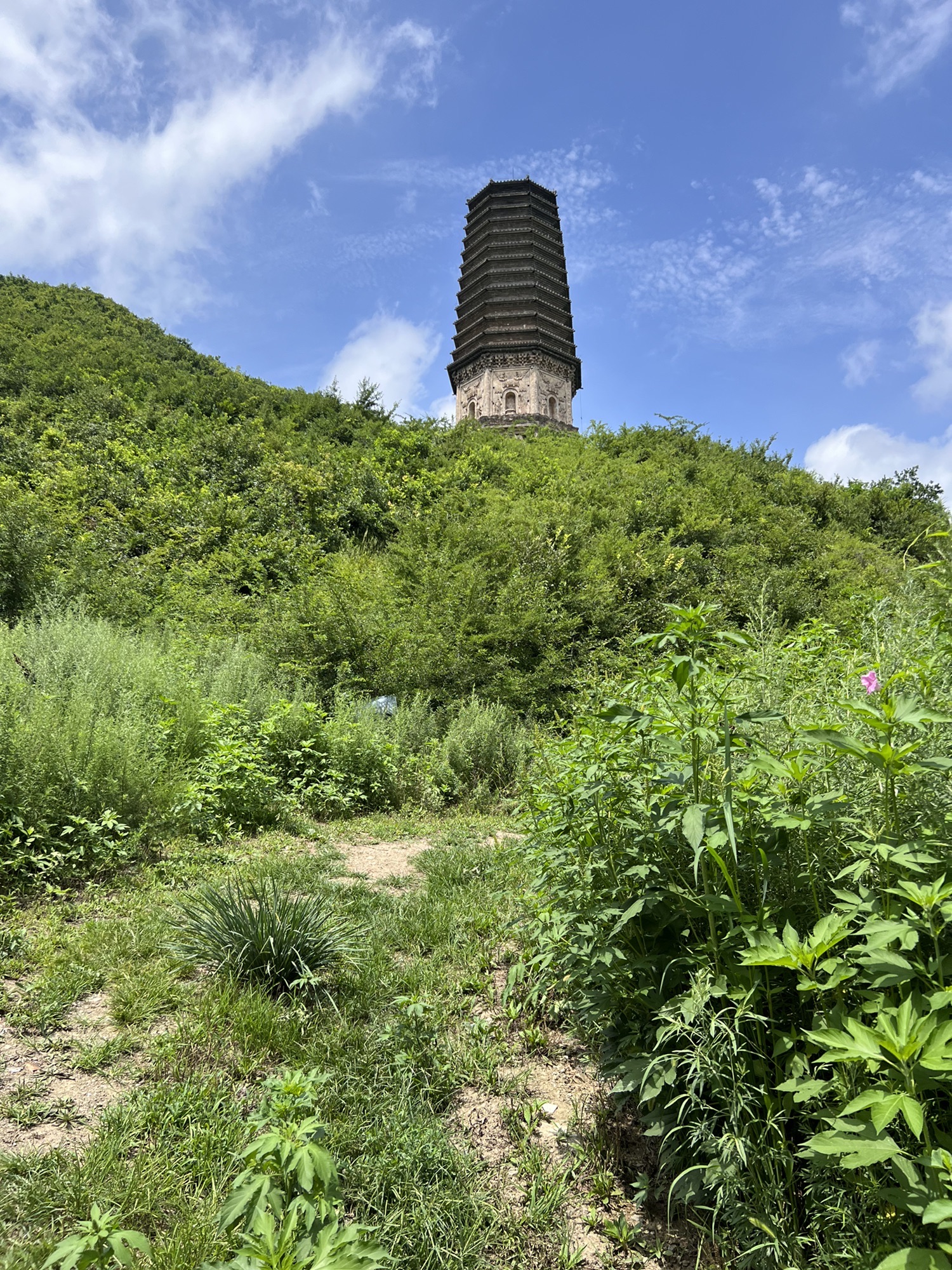 析木城金塔旅行图片 3
