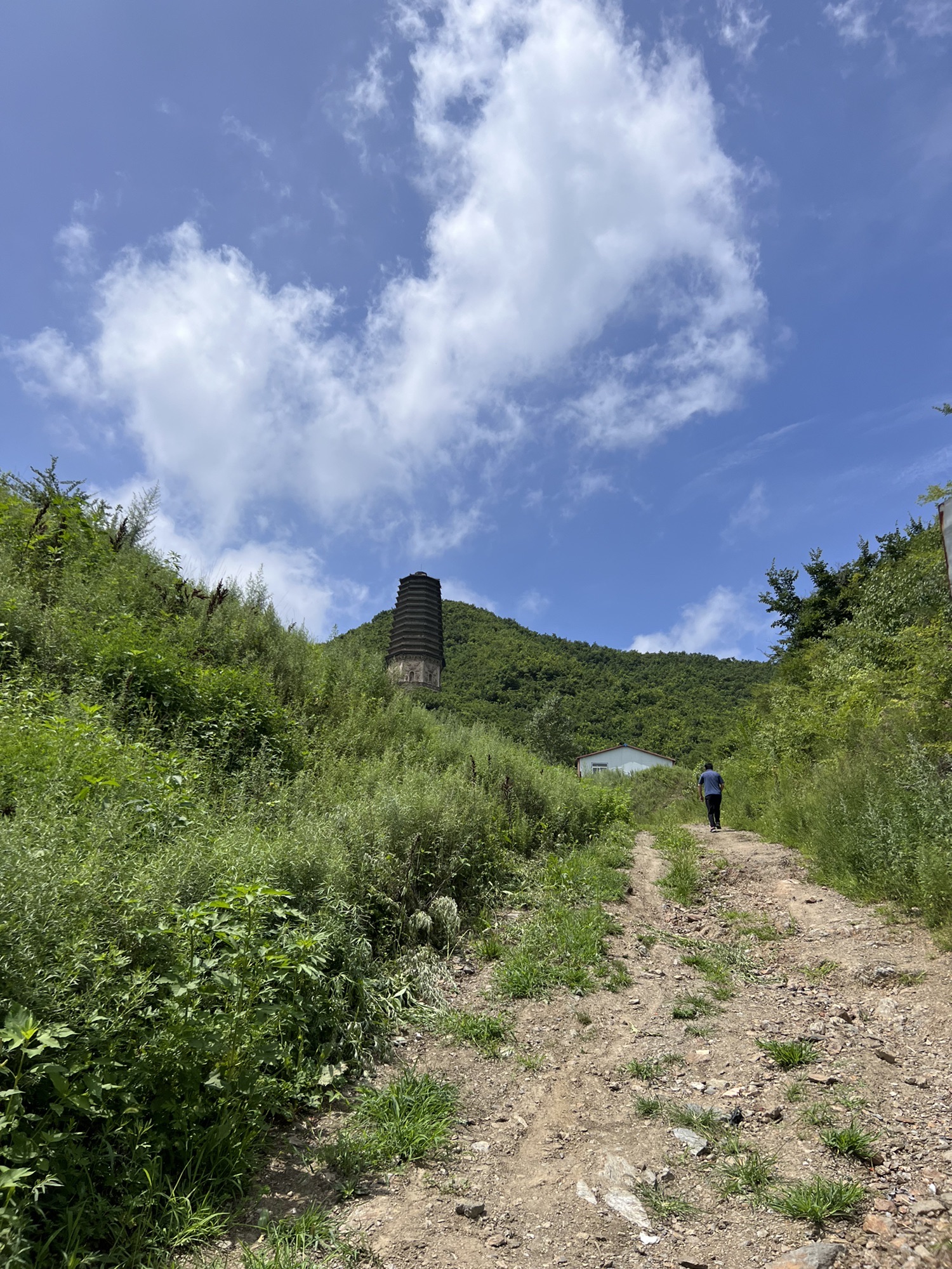 析木城金塔旅行图片 2