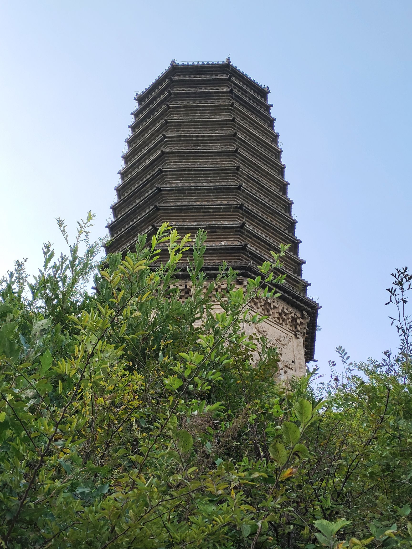析木城金塔旅行图片 2
