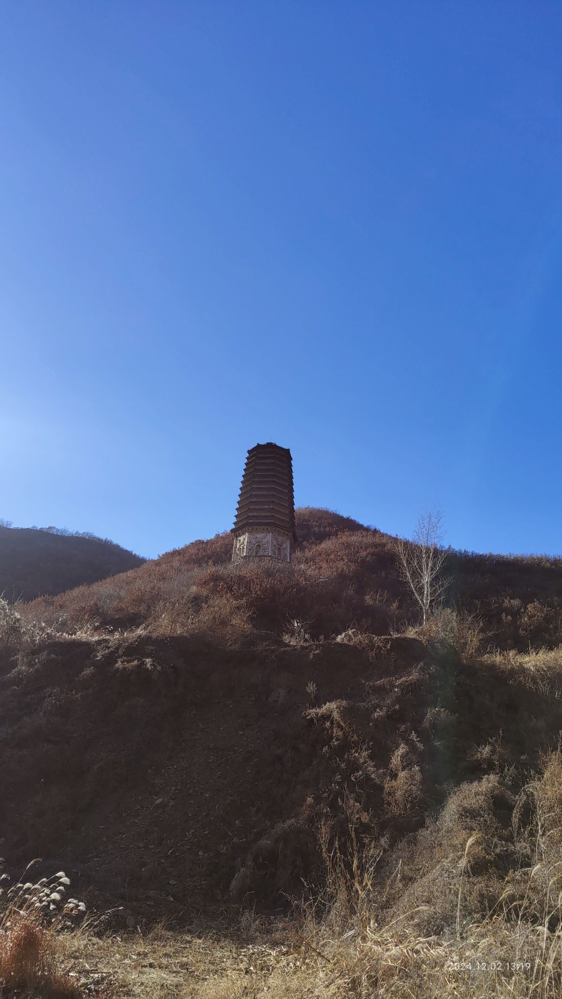 析木城金塔旅行图片 1