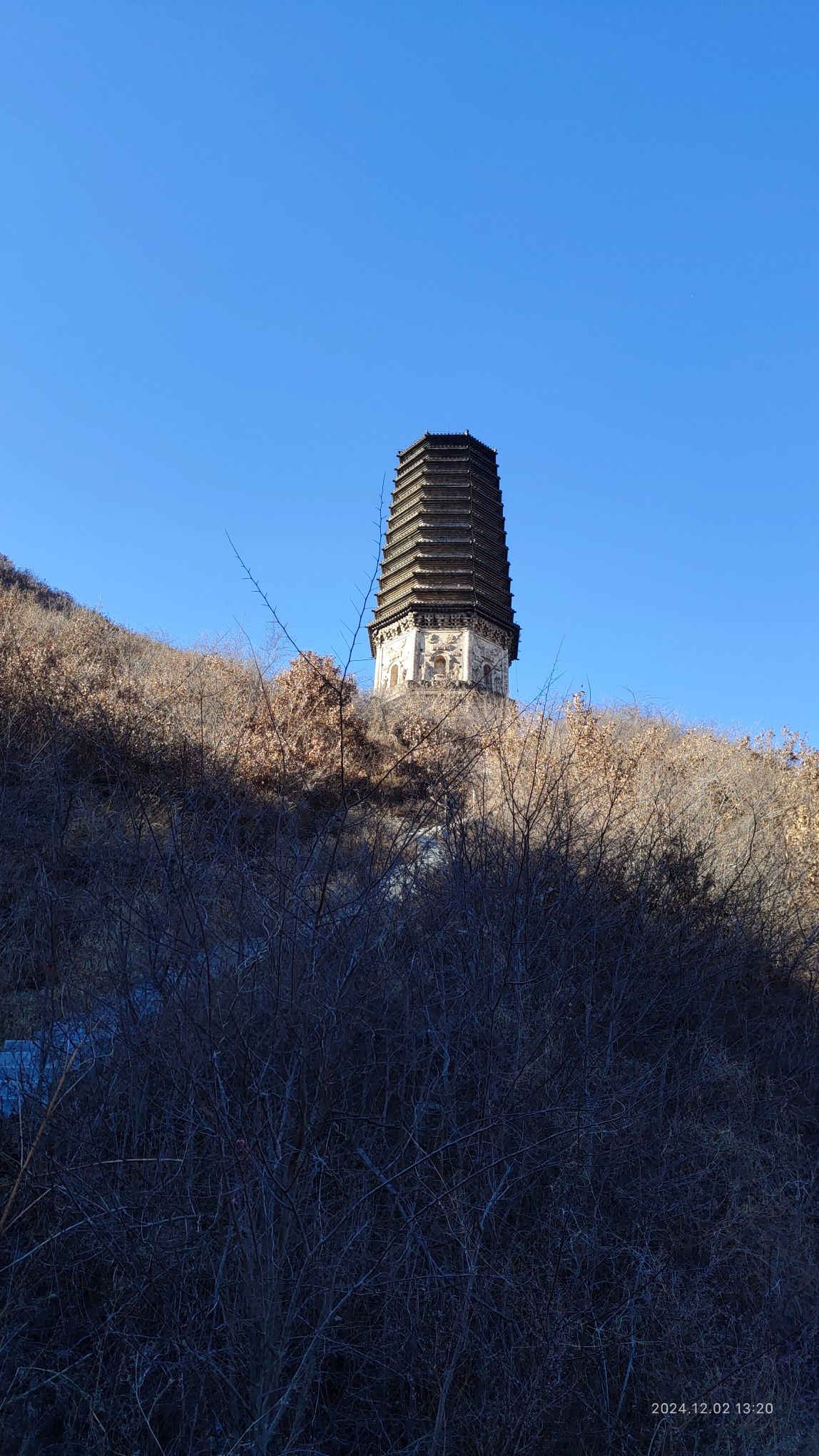 析木城金塔旅行图片 2