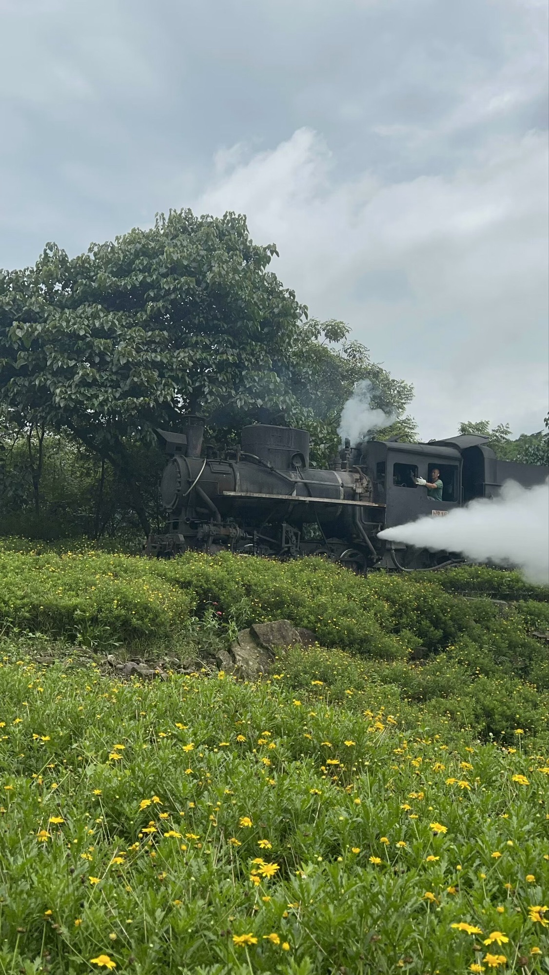 嘉阳小火车旅行图片 3