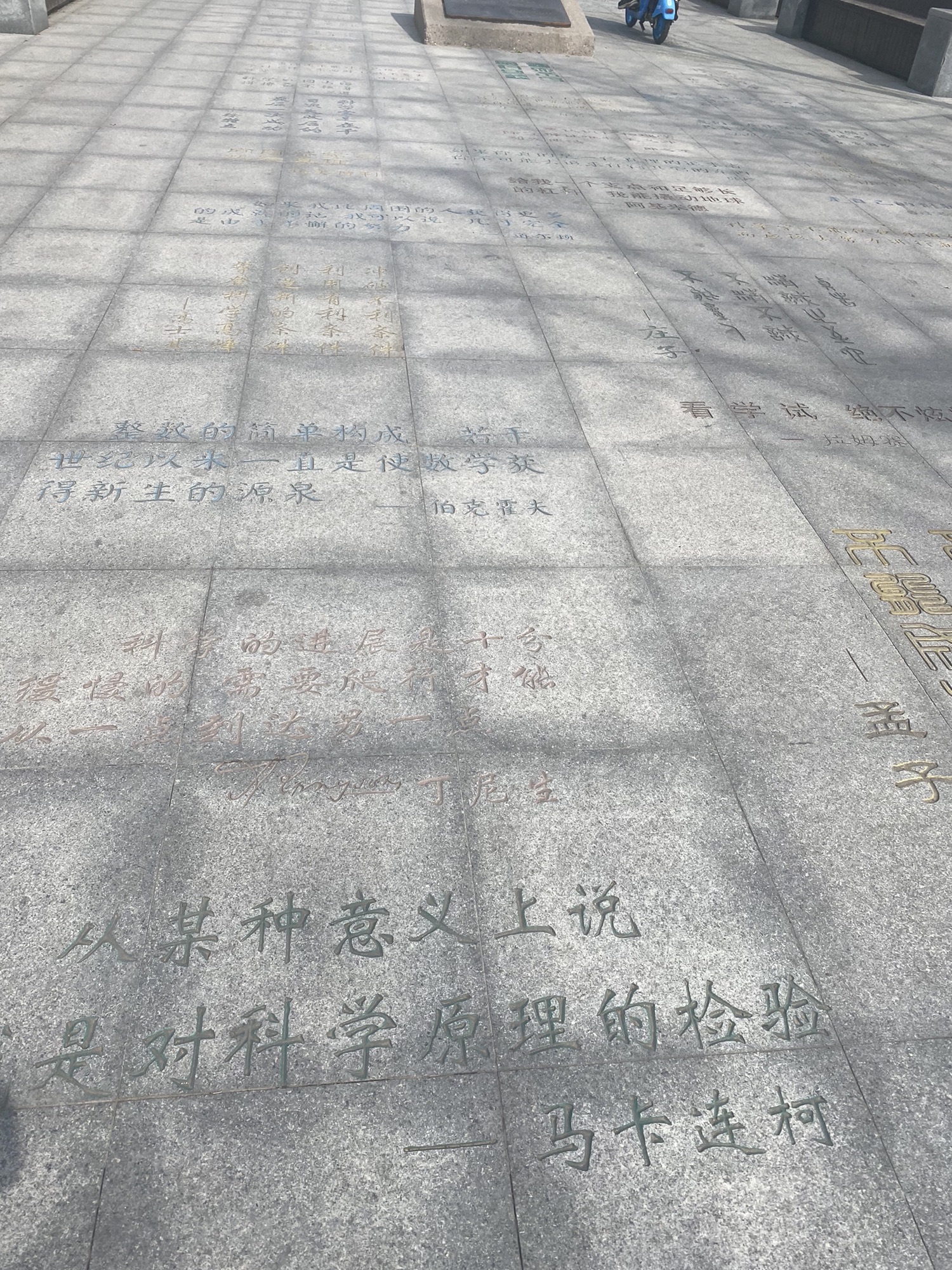 西吴河科普公园旅行图片