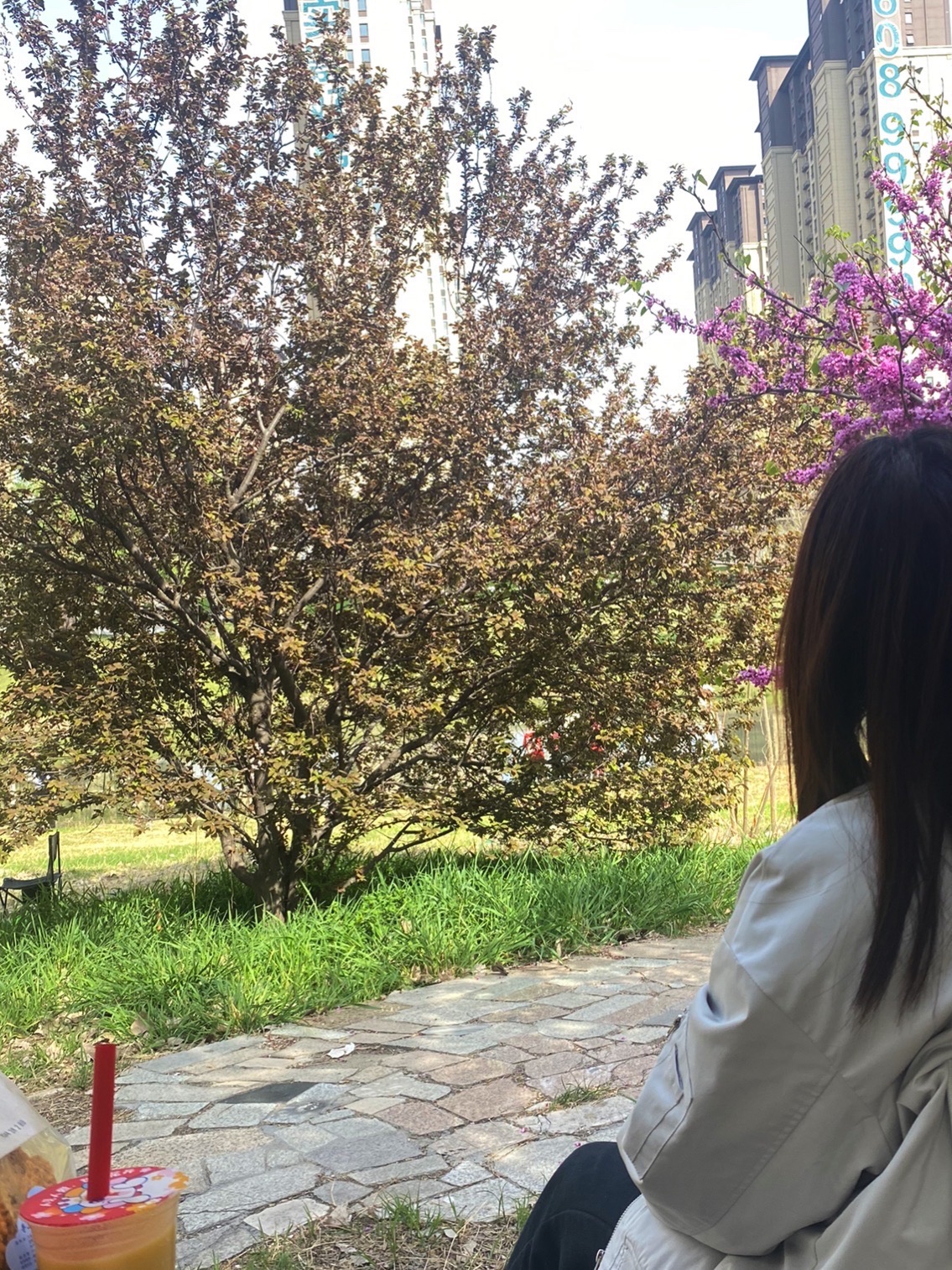 西吴河科普公园旅行图片 2