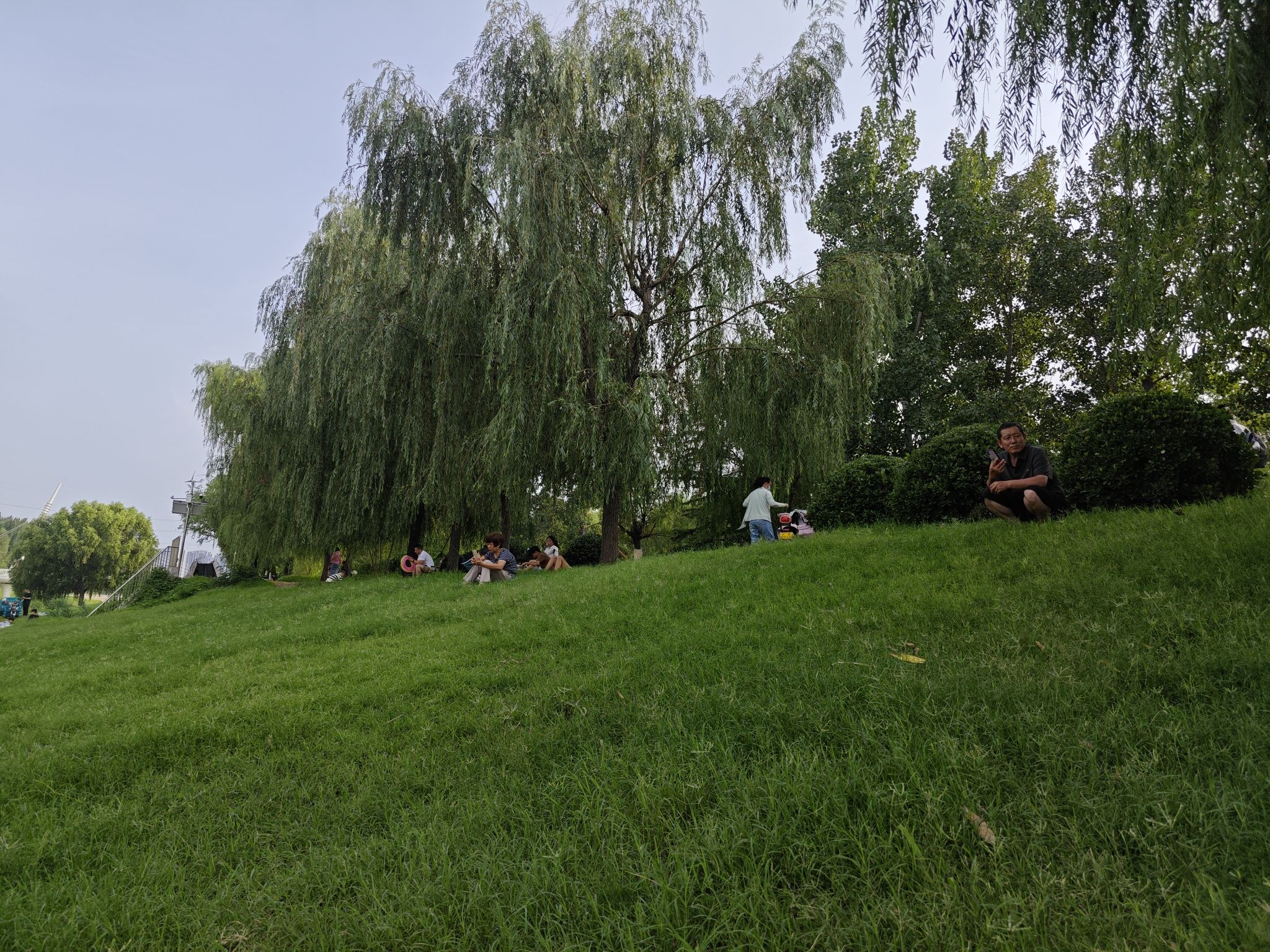 西吴河科普公园旅行图片