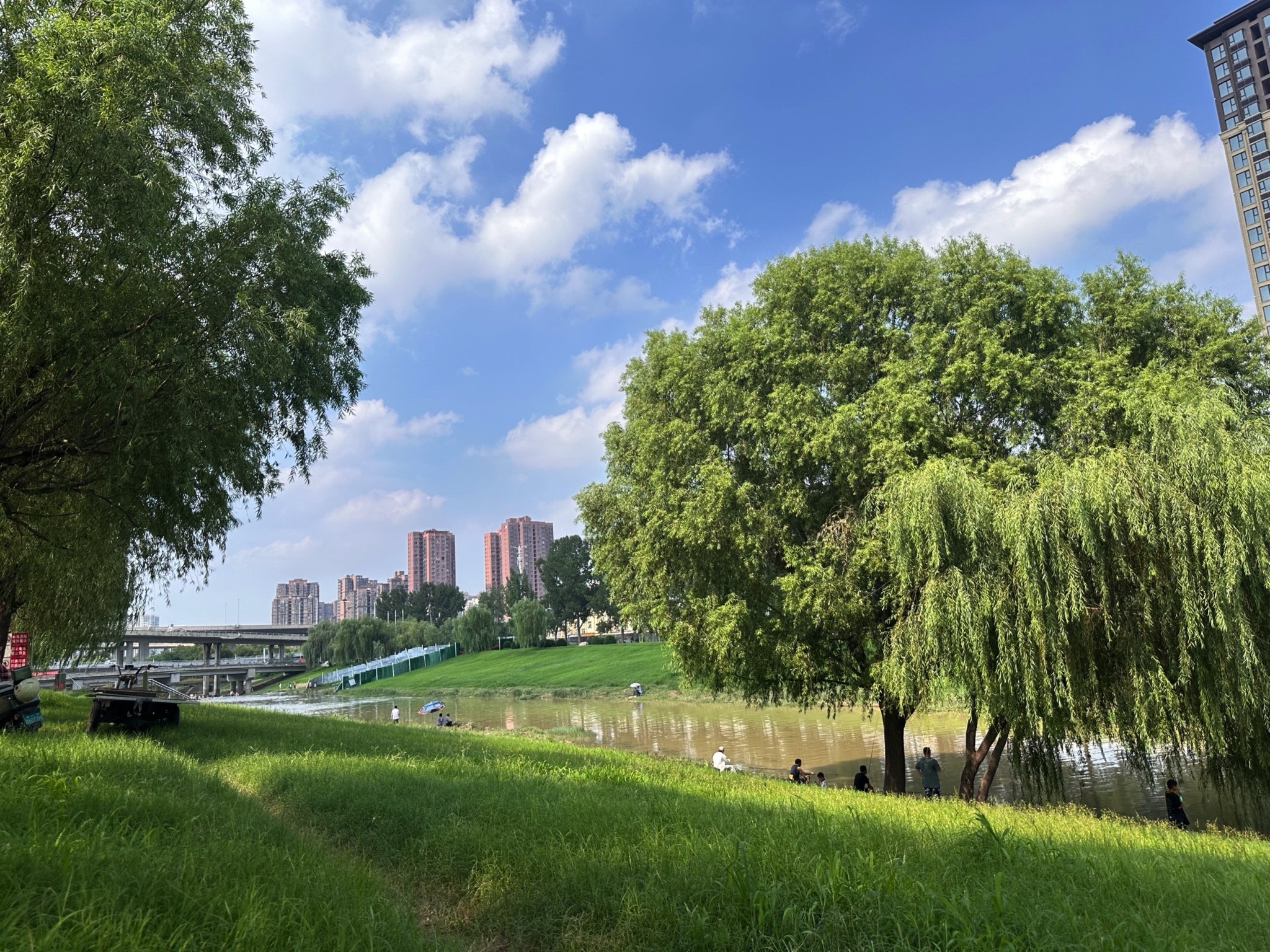 西吴河科普公园旅行图片 2