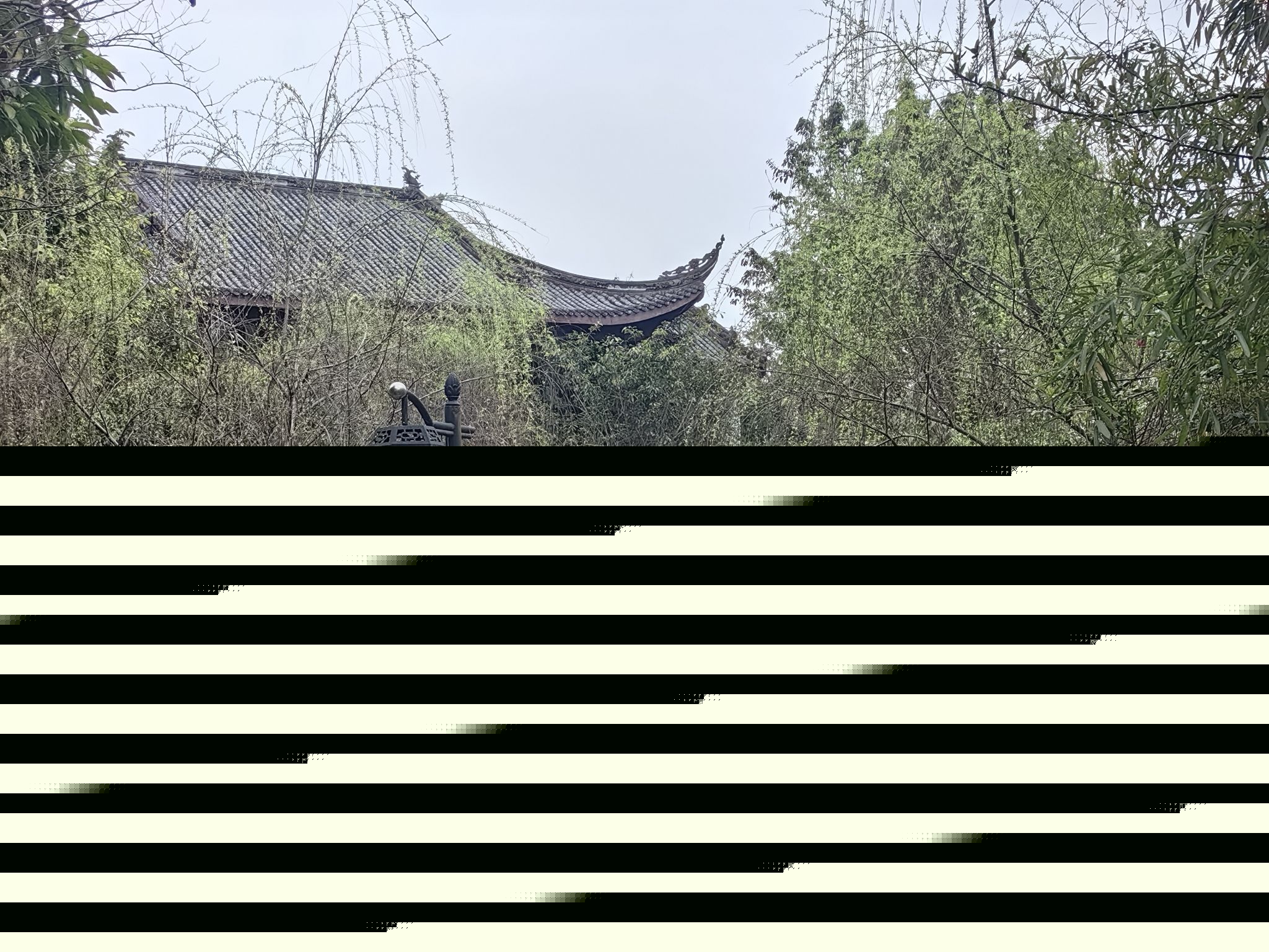 开州举子园旅行图片 2