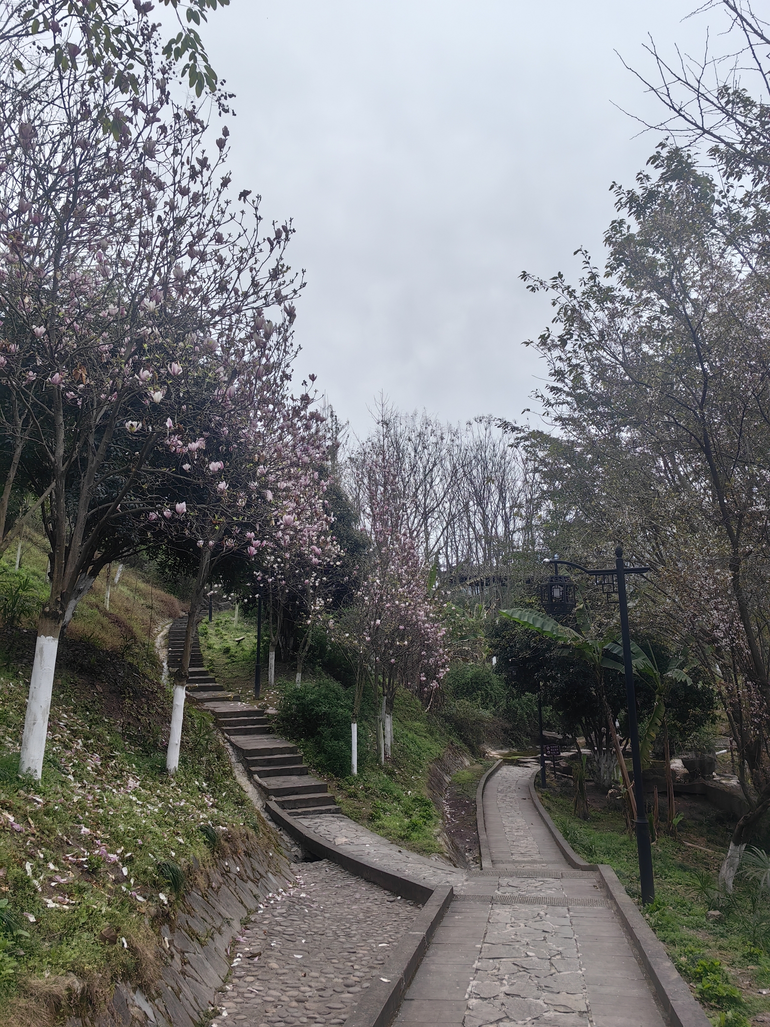 开州举子园旅行图片 3