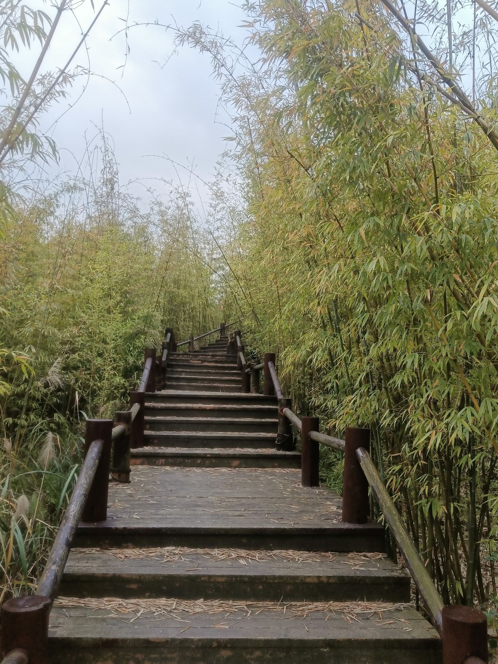 贵州乡愁旅行图片 1