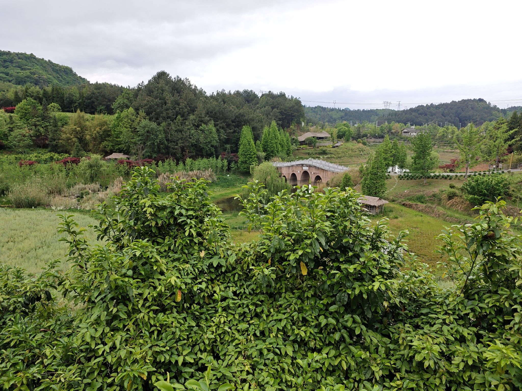 贵州乡愁旅行图片 1