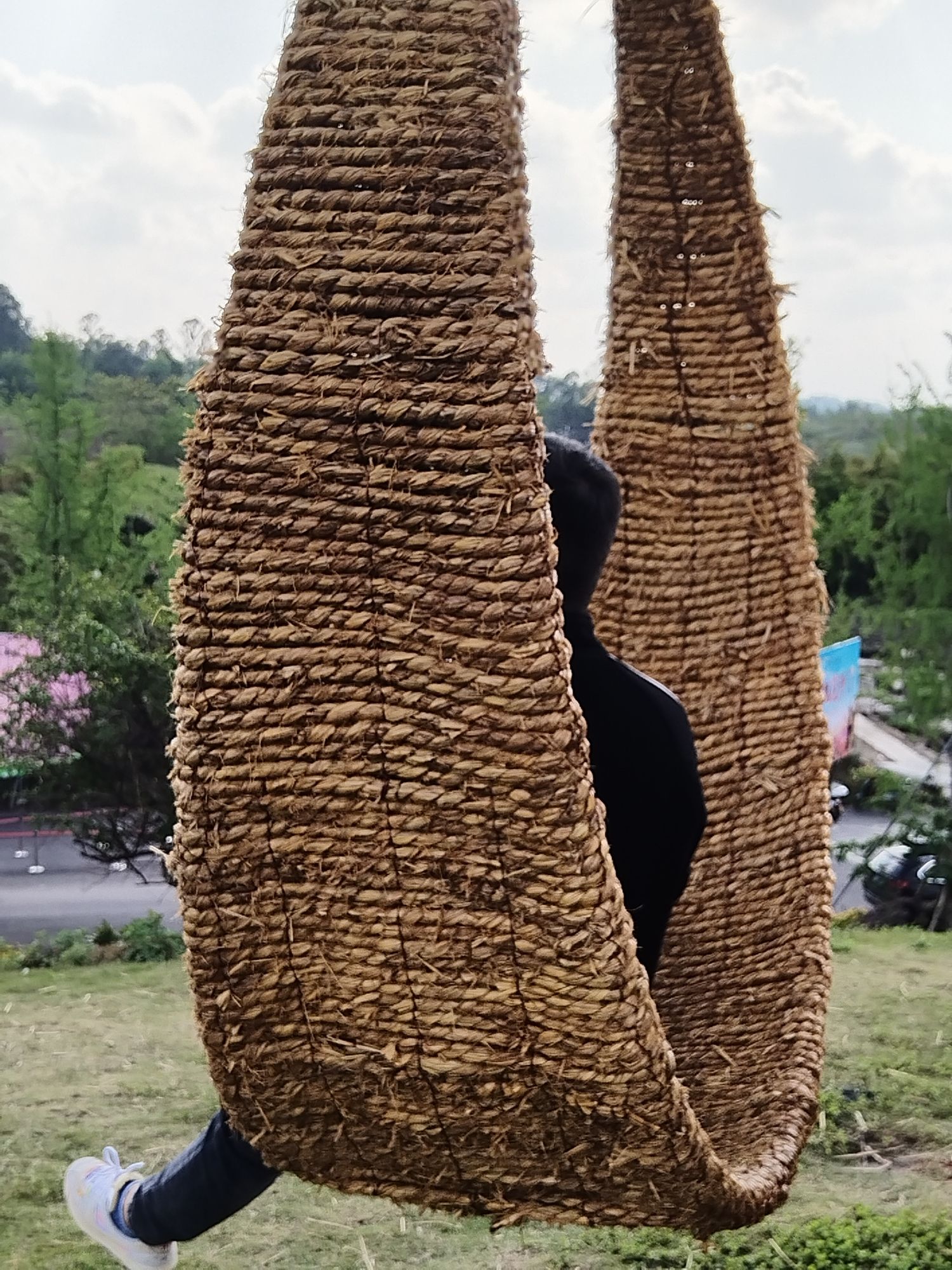 自贡玫瑰海(暂停开放)旅行图片 3