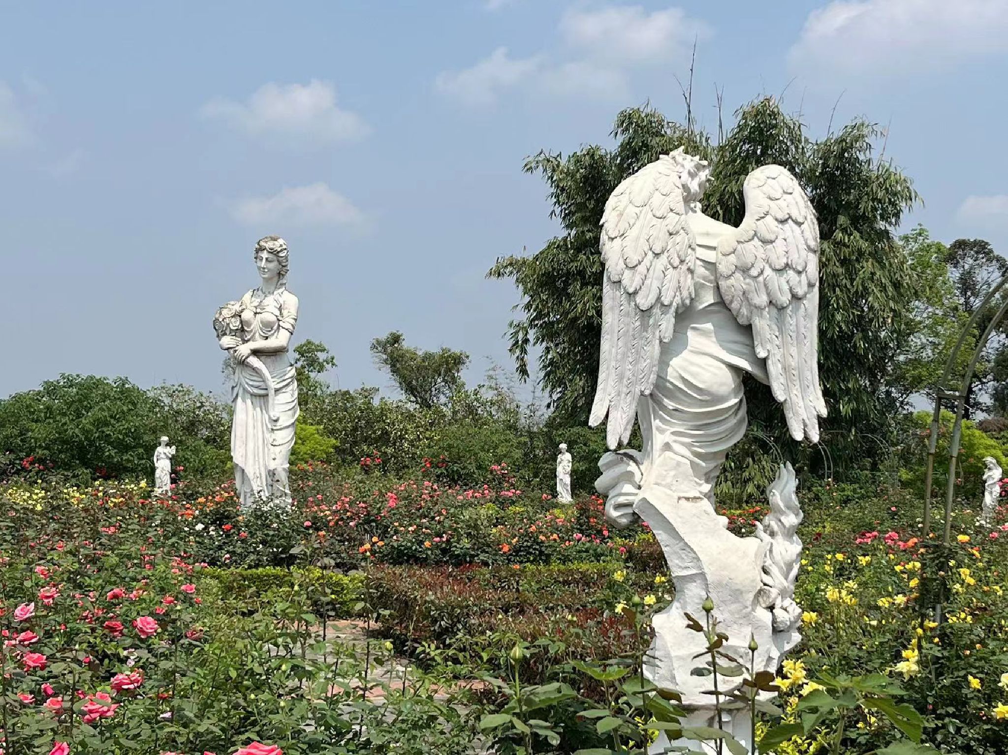 自贡玫瑰海(暂停开放)旅行图片 1