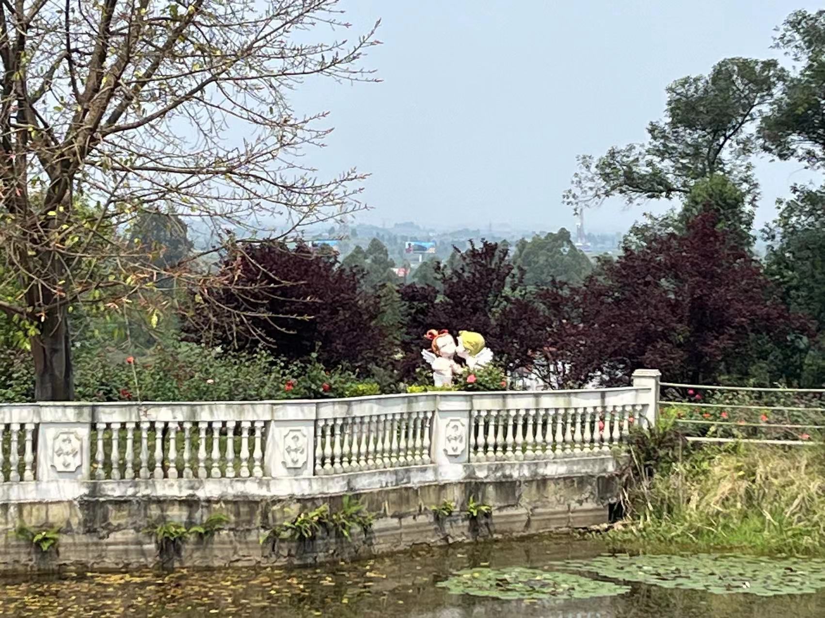 自贡玫瑰海(暂停开放)旅行图片 2