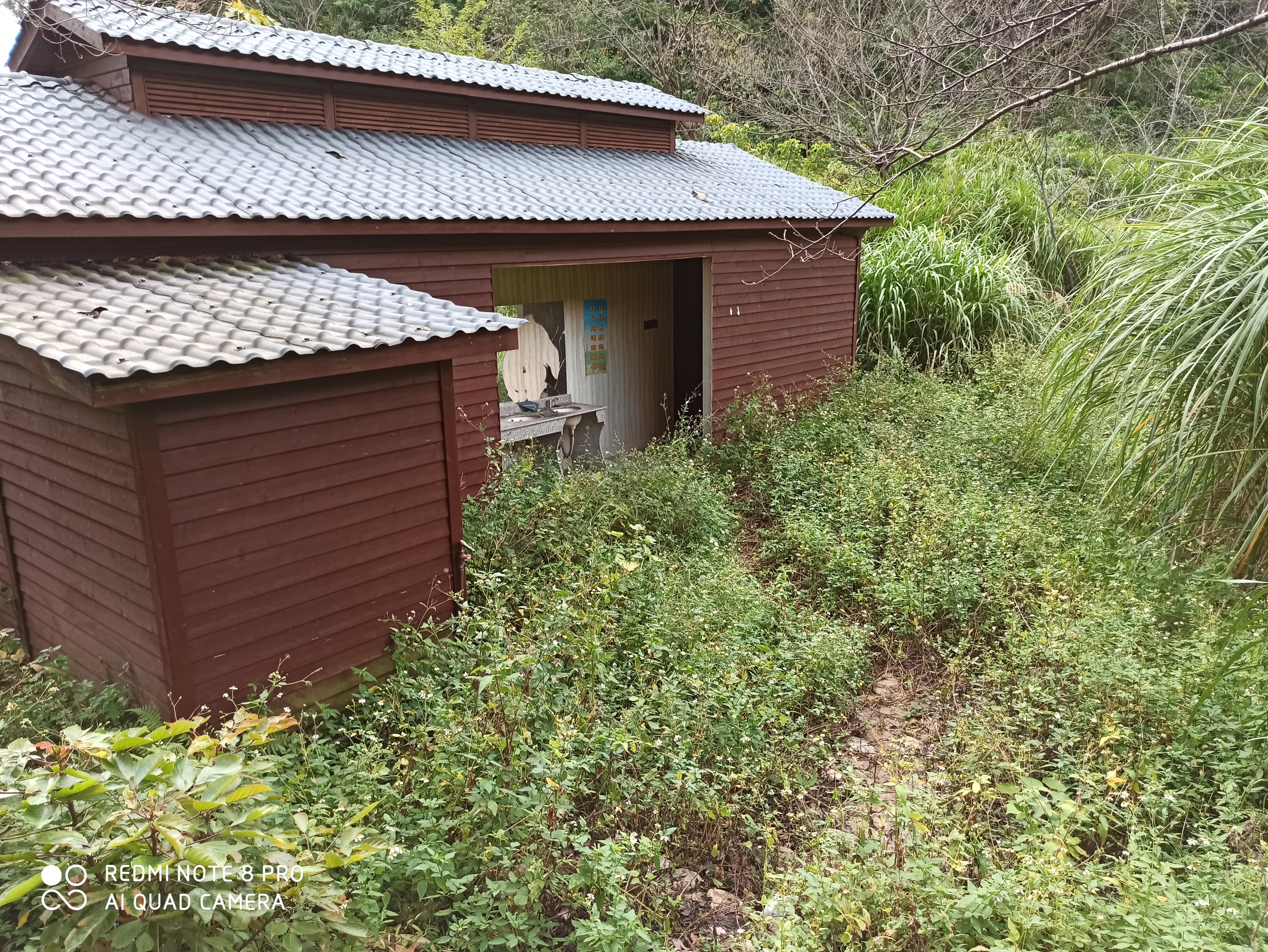 同安造水村樱花园旅行图片 1
