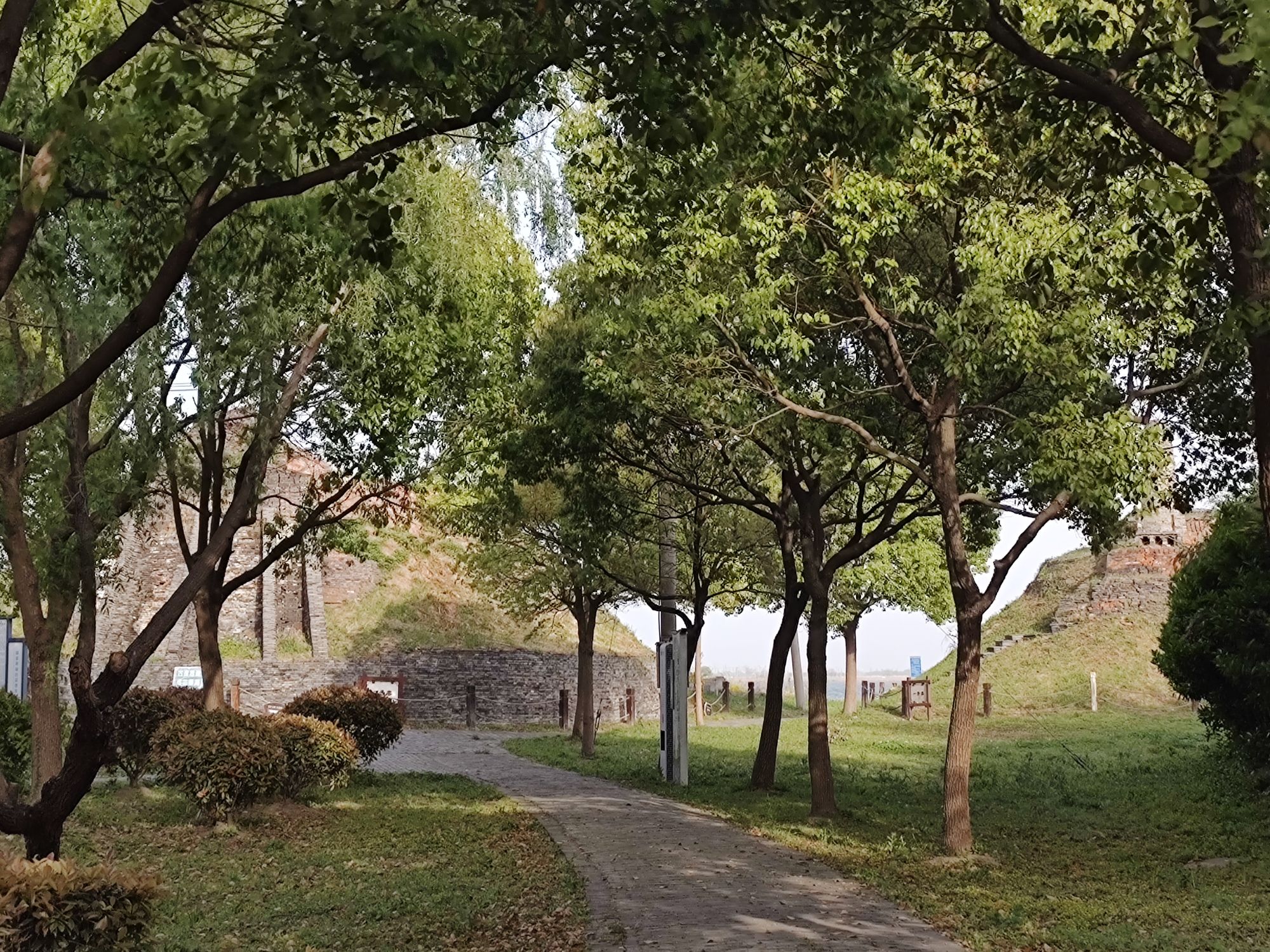 锦溪祝甸古窑遗址旅行图片 2