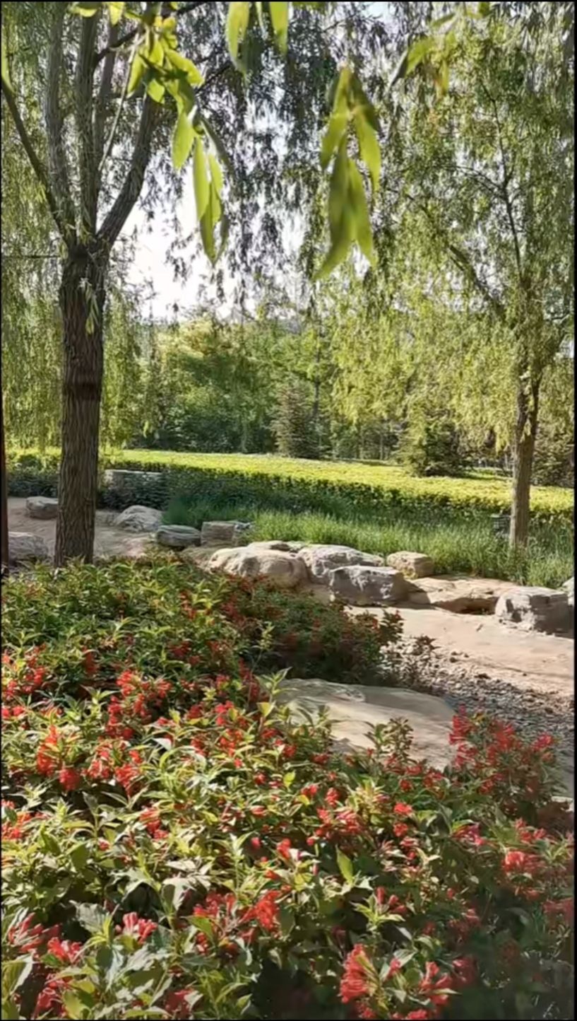 瑞丰公园旅行图片 3