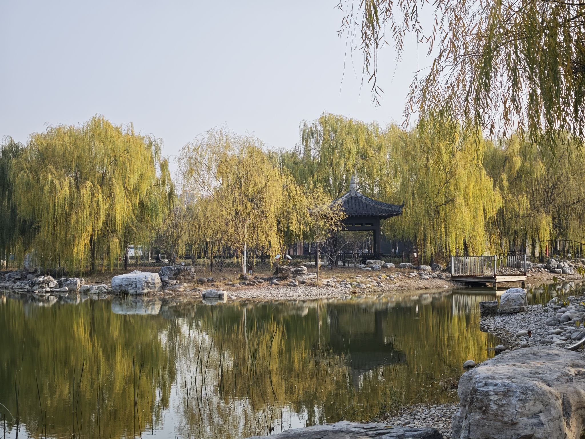 瑞丰公园旅行图片 3