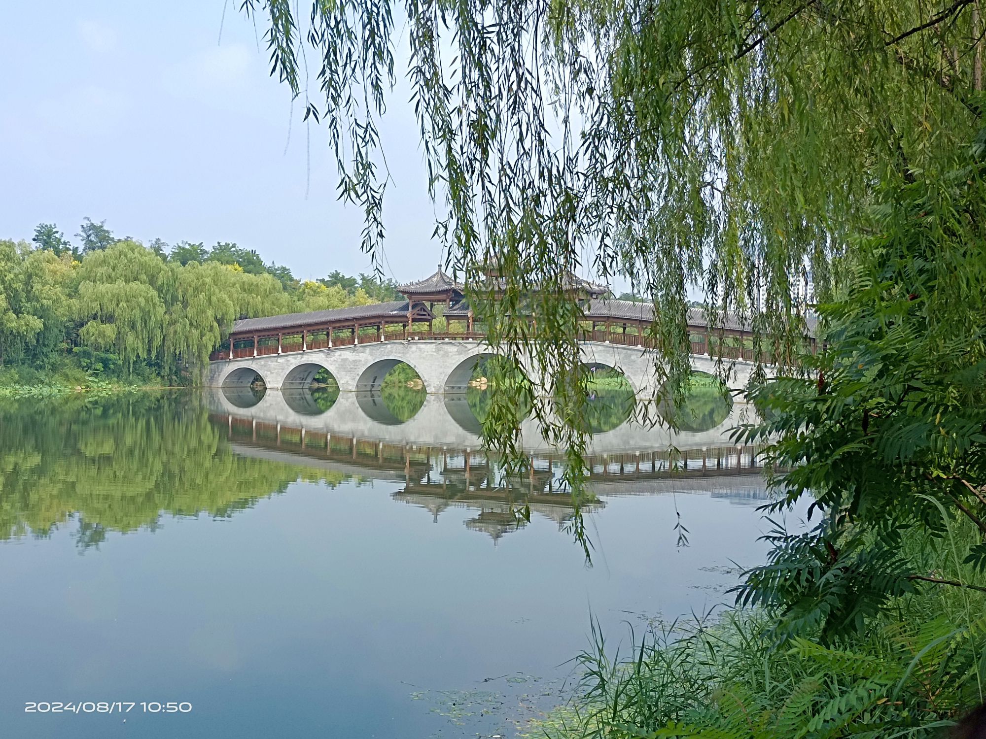 戴河生态园旅行图片 2