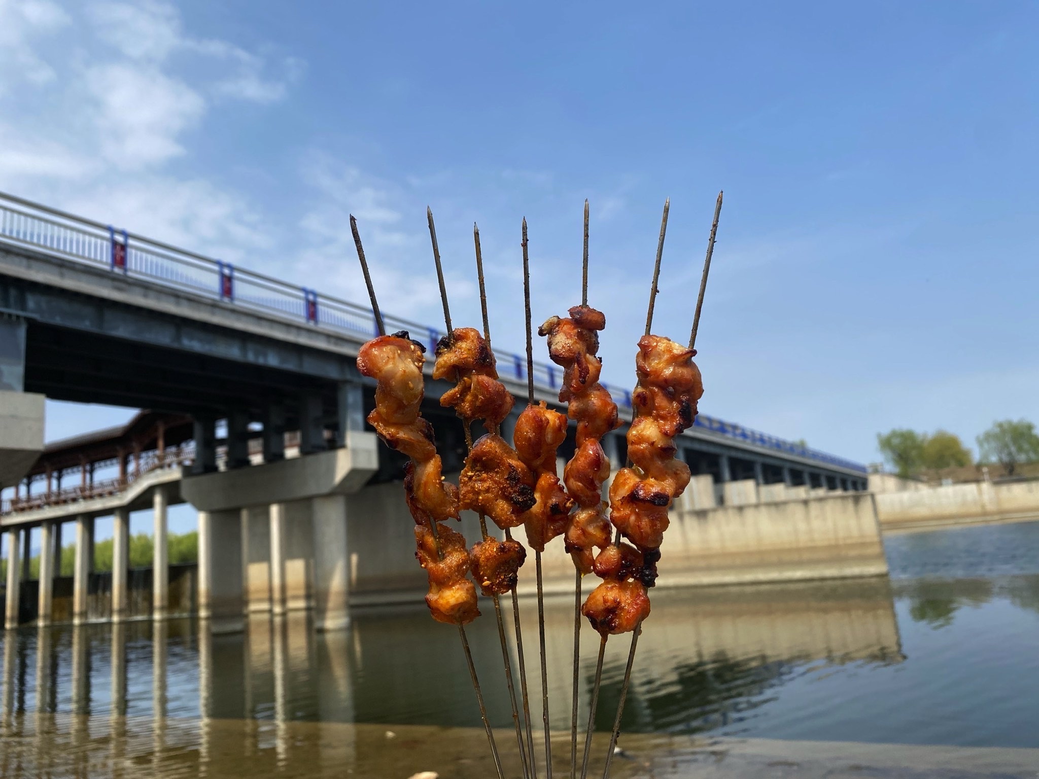 戴河生态园旅行图片 1