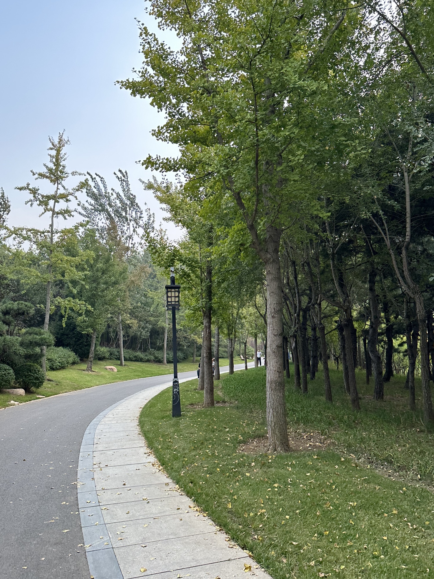 戴河生态园旅行图片 2