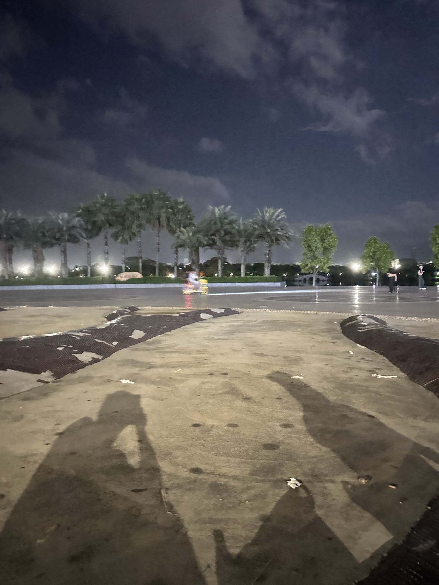 凤凰湖公园旅行图片 2