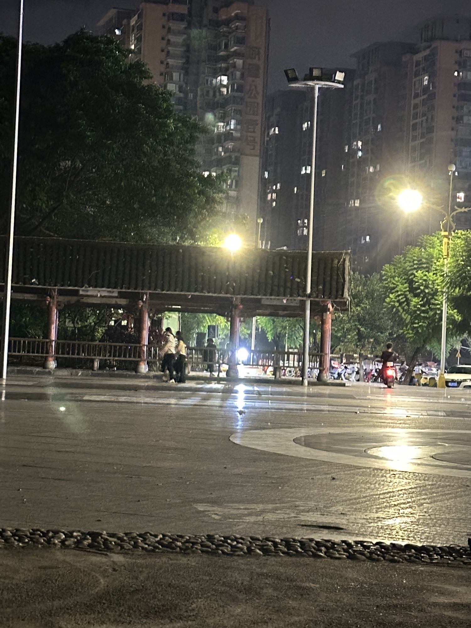 凤凰湖公园旅行图片 3