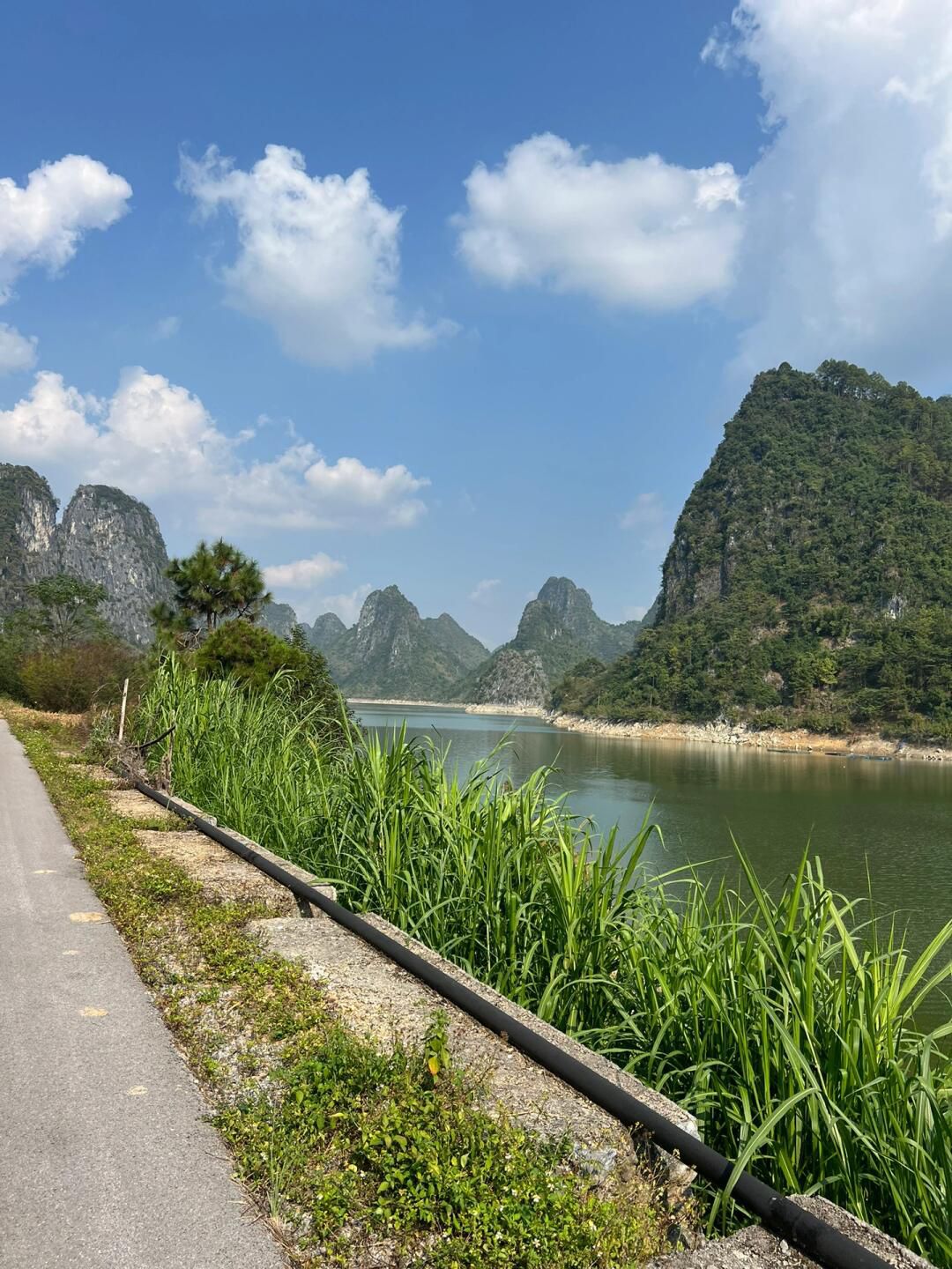 凤凰湖公园旅行图片 1