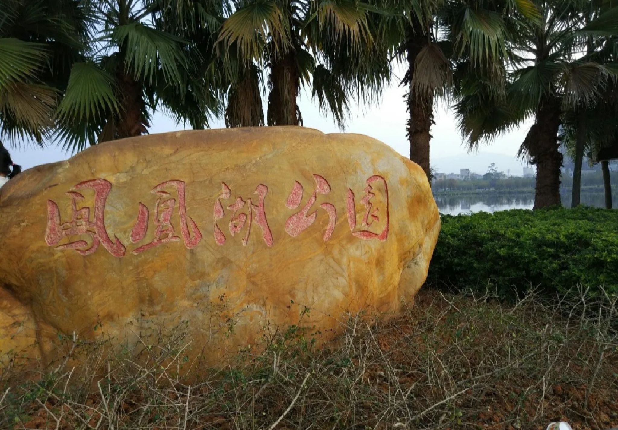 凤凰湖公园旅行图片 1